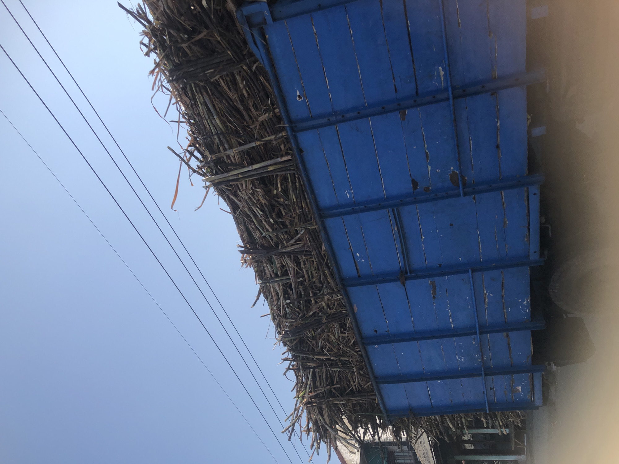 A blue flatbed truck is filled with a large load of sugarcane stalks. The truck is parked on a dirt road in Kludan, Indonesia, under a clear blue sky with power lines running overhead. To the left of the truck, a building with a sloped roof and some scaffolding is visible. The sugarcane stalks are dry and appear to be bundled together. The truck's wooden sideboards are painted blue and show signs of wear. The overall scene suggests the transportation of agricultural produce.