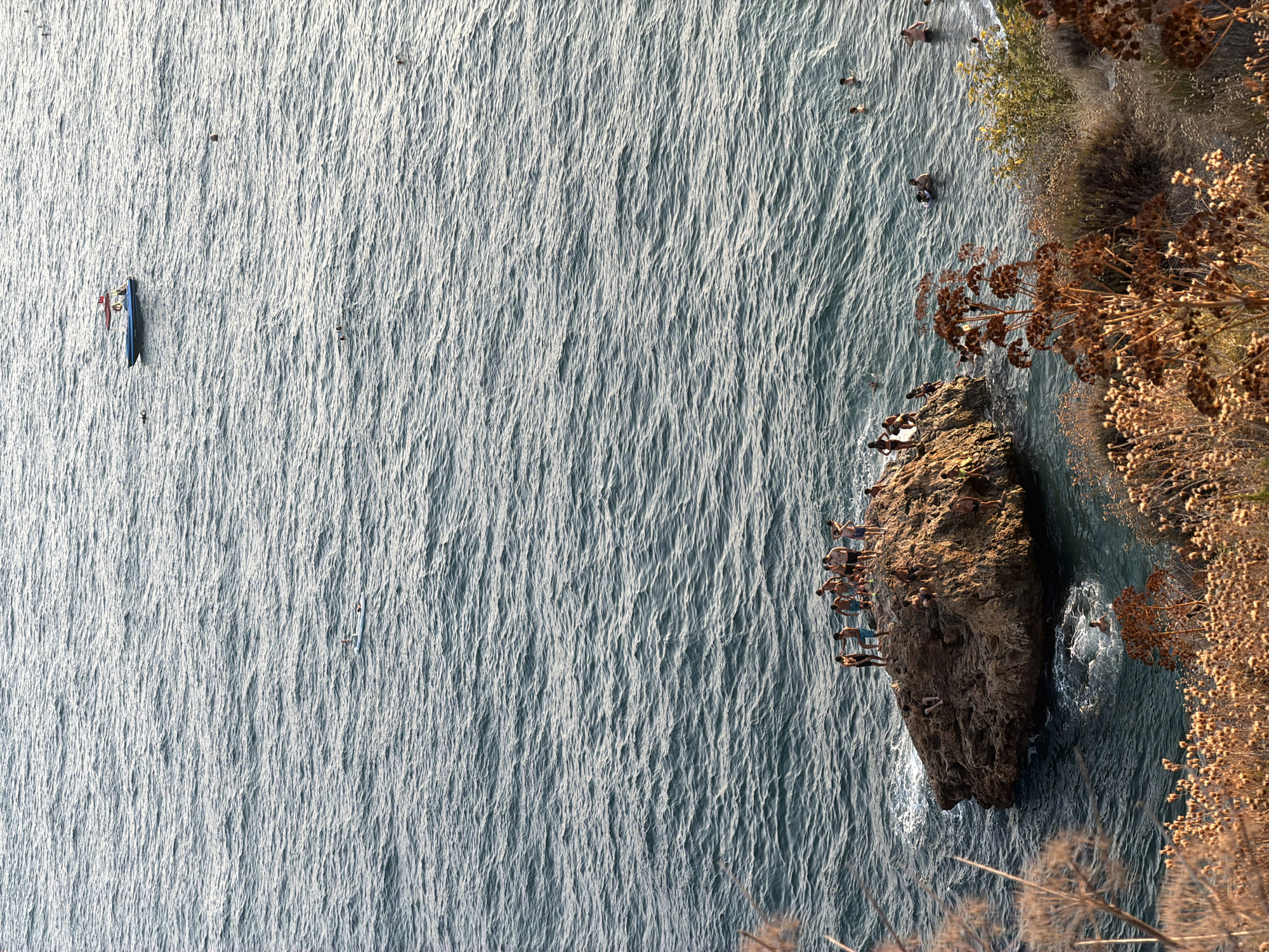 The image depicts a picturesque coastal scene in Antalya, Turkey, showcasing a rocky outcrop jutting into the Mediterranean Sea. The water is a deep blue, with gentle waves creating a textured surface. On the rocky outcrop, a group of approximately 15 individuals, appearing to be young adults and teenagers, are gathered. Some are standing and looking out at the sea, while others are seated or preparing to jump. One person is actively jumping into the water, creating a splash. Below the outcrop, in the sea, several other individuals are swimming and enjoying the water. Further in the distance, a small boat with a few people on board is visible, and another person is on a paddleboard. The foreground of the image is dominated by dry, autumnal vegetation, characterized by tall, brown, seed-bearing plants, which creates a stark contrast with the vibrant blue of the sea and the rugged texture of the rocks. The overall atmosphere suggests a recreational gathering, likely during a warm day, highlighting a popular spot for swimming and cliff diving.