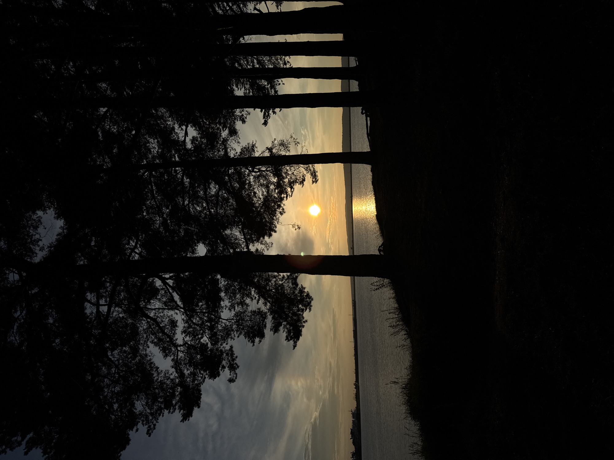 The image captures a sunset over a body of water, likely the Kama River, in Chaikovsky, Russia. Silhouetted pine trees line the foreground, their dark forms stark against the illuminated sky. The sun, a bright orb, is positioned low on the horizon, casting a golden reflection on the water. Wispy clouds streak across the sky, tinged with the warm hues of the setting sun. In the distance, along the far bank of the river, industrial structures and buildings are visible, suggesting a developed area. The overall atmosphere is serene and tranquil, characteristic of a peaceful evening by the water.
