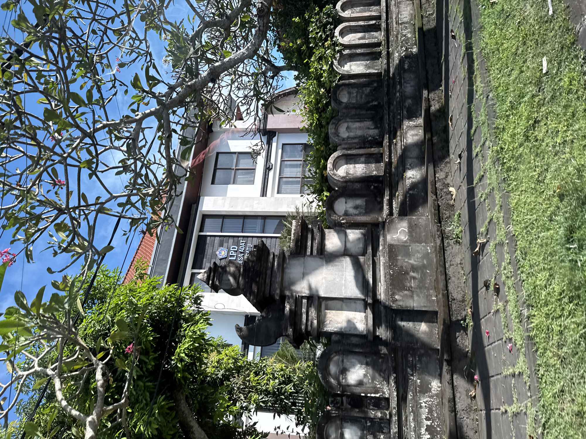 This media file captures a sunny outdoor scene in Kuta Selatan, Indonesia, showcasing a blend of traditional Balinese architecture and modern elements amidst tropical vegetation.
In the background, a multi-story building features white walls and dark-framed windows. A brown or terracotta-tiled roof is partially visible. Affixed to a window on the lower visible floor of the building is a dark blue sign with white text. The clearly visible text reads "LPD" and "DESA ADAT PECATU", indicating a local Balinese institution or office.
Dominating the right side of the image is a weathered, gray stone wall or architectural structure, likely part of a traditional Balinese gate or fence. It is ornately carved with repetitive semi-circular patterns and topped with a distinctive, pointed finial, characteristic of Balinese design. Lush green vines and foliage grow over parts of this stone structure.
The scene is rich with greenery. A prominent frangipani tree, with its characteristic gnarled, bare branches, green leaves, and a few pink blossoms, fills the left side and foreground. Additional dense green trees and shrubs are scattered throughout, behind the stone wall and around the building. The ground on the lower right consists of dark paving stones interspersed with patches of bright green grass. Several small pink flowers, likely fallen from the frangipani tree, are scattered on the paving.
The bright blue sky, with a few wispy clouds, indicates clear weather and strong sunlight, suggesting it is midday given the distinct shadows cast by the structures and trees. No people or specific activities are visible in the image. The architectural style, vegetation, and the text "Desa Adat Pecatu" firmly place the location within Bali.