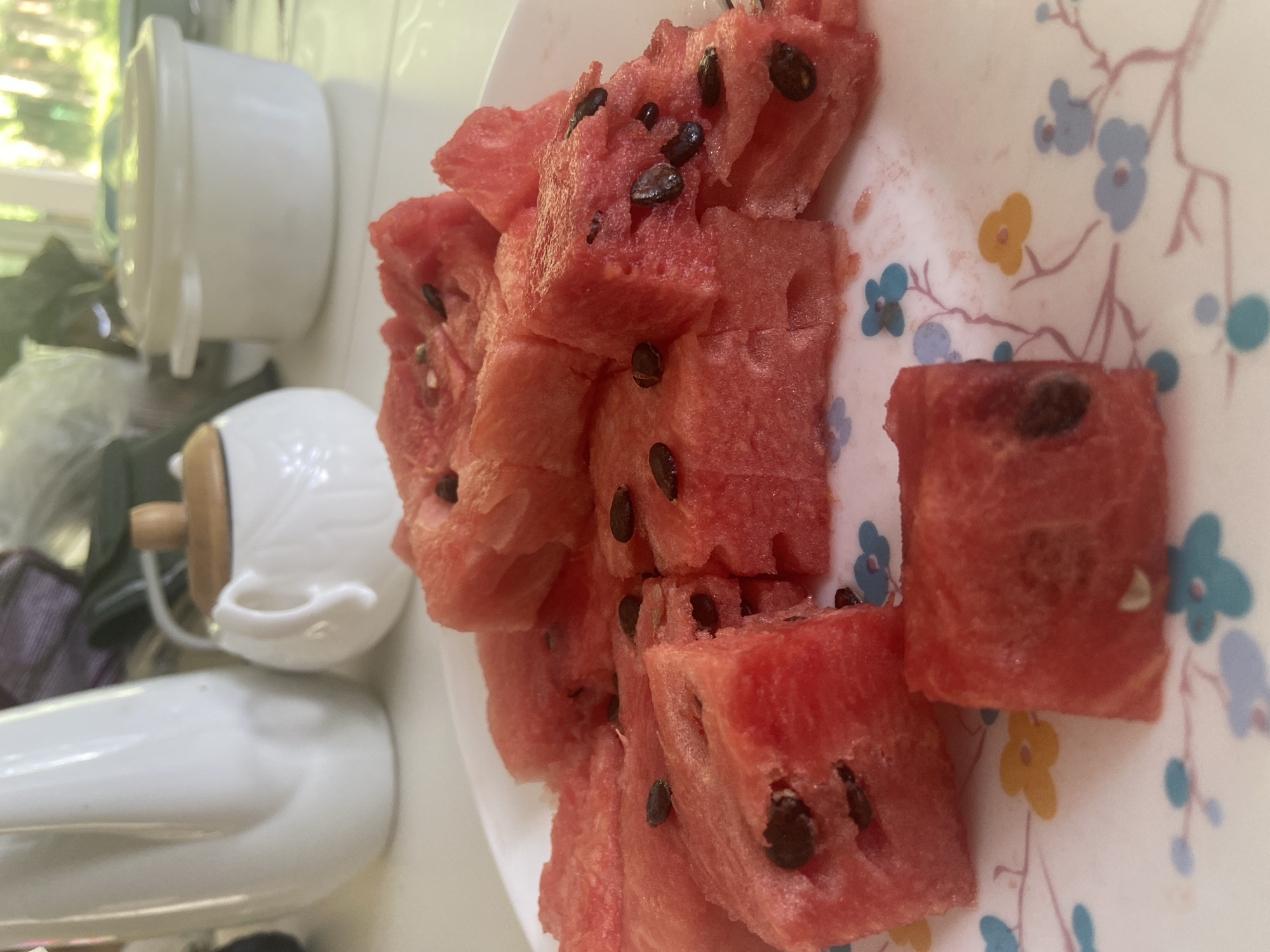In the city of Зимородок Днп, Russia, a close-up, eye-level shot showcases a white plate filled with cut pieces of ripe watermelon. The watermelon is segmented into bite-sized cubes, revealing its vibrant red flesh and scattered black seeds. The plate itself is adorned with a delicate floral pattern, featuring blue and yellow blossoms with thin, light pink branches. In the background, out of focus, are several white kitchen items, including a pitcher or creamer, a sugar bowl with a wooden lid, and a lidded container. The lighting suggests an indoor setting, possibly a kitchen or dining area, with natural light filtering in from an unseen window. There are no people or animals visible in the frame.