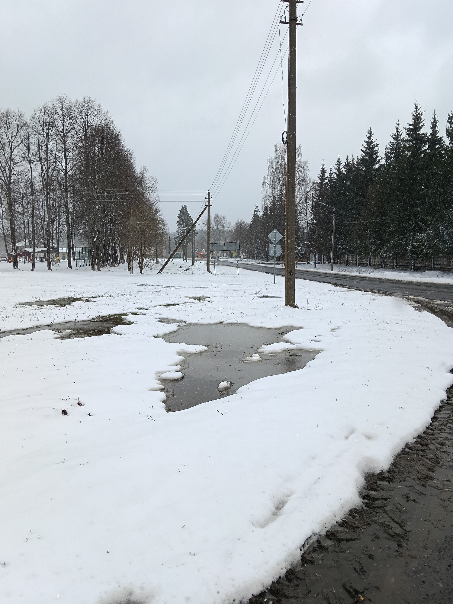 This image depicts an overcast, snowy landscape in Красный Маяк, Russia, likely during late winter or early spring as indicated by significant snow melt and standing puddles. The sky is a uniform, heavy gray, and small white specks suggest light snow or sleet is falling.
The scene is dominated by a snow-covered field in the foreground and mid-ground, interrupted by numerous dark, irregular puddles of melted water. Patches of brown grass are visible where the snow has receded. To the left, a line of tall, bare deciduous trees stands against the sky, with faint outlines of playground equipment (swings, slides) visible behind them. To the right, a dense cluster of dark evergreen trees forms a striking contrast.
A prominent wooden utility pole with power lines runs vertically in the mid-right, with a coiled black cable visible on its side. Another, smaller utility pole further back is noticeably leaning to the left. A paved road stretches into the distance along the right side of the image, bordered by a muddy verge where snow has melted. A street light and an unreadable road sign are also present near the road. No people are visible, and there is no discernible text in the image. The atmosphere is quiet and somewhat stark, characteristic of a cold, thawing day.