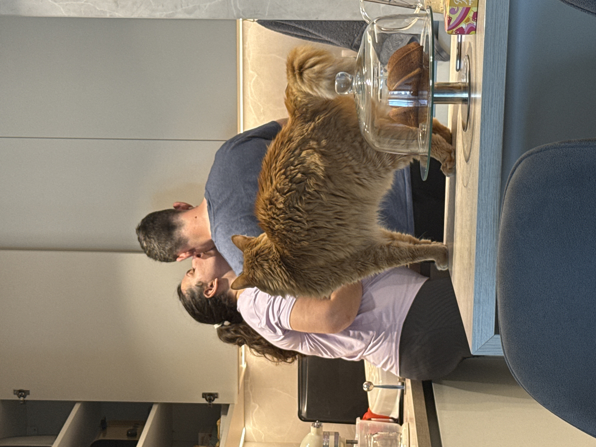 The scene takes place in a modern residential kitchen in Sofia, Bulgaria. A man and a woman are kissing intimately in the center-right portion of the frame, partially obscured by a large, long-haired ginger cat standing on a kitchen island in the foreground.
The woman, on the left, is seen in profile with dark, curly hair tied back with a white hair tie. She wears a light purple t-shirt and dark leggings, leaning in to kiss the man. The man, positioned to her right, is viewed mostly from behind and side profile, wearing a dark blue t-shirt and a small silver earring in his left ear.
The ginger cat, a fluffy, long-haired breed, stands prominently on the light-colored kitchen island, facing away from the camera with its bushy tail visible, seemingly observing the couple.
The kitchen features light grey, handleless cabinets; one upper cabinet on the left is open, revealing shelves. Under-cabinet strip lighting illuminates a light-toned backsplash. On the counter to the left, a silver stand mixer, clear jars, and a black appliance are visible. On the kitchen island in the immediate foreground, a glass dome cake stand with a silver base holds a brown loaf cake. A small, colorful box is placed to the right of the cake stand. A dark grey upholstered chair back is visible in the lower left foreground. The background includes a light grey wall with subtle marble veining on the far right, where a dark grey towel hangs.