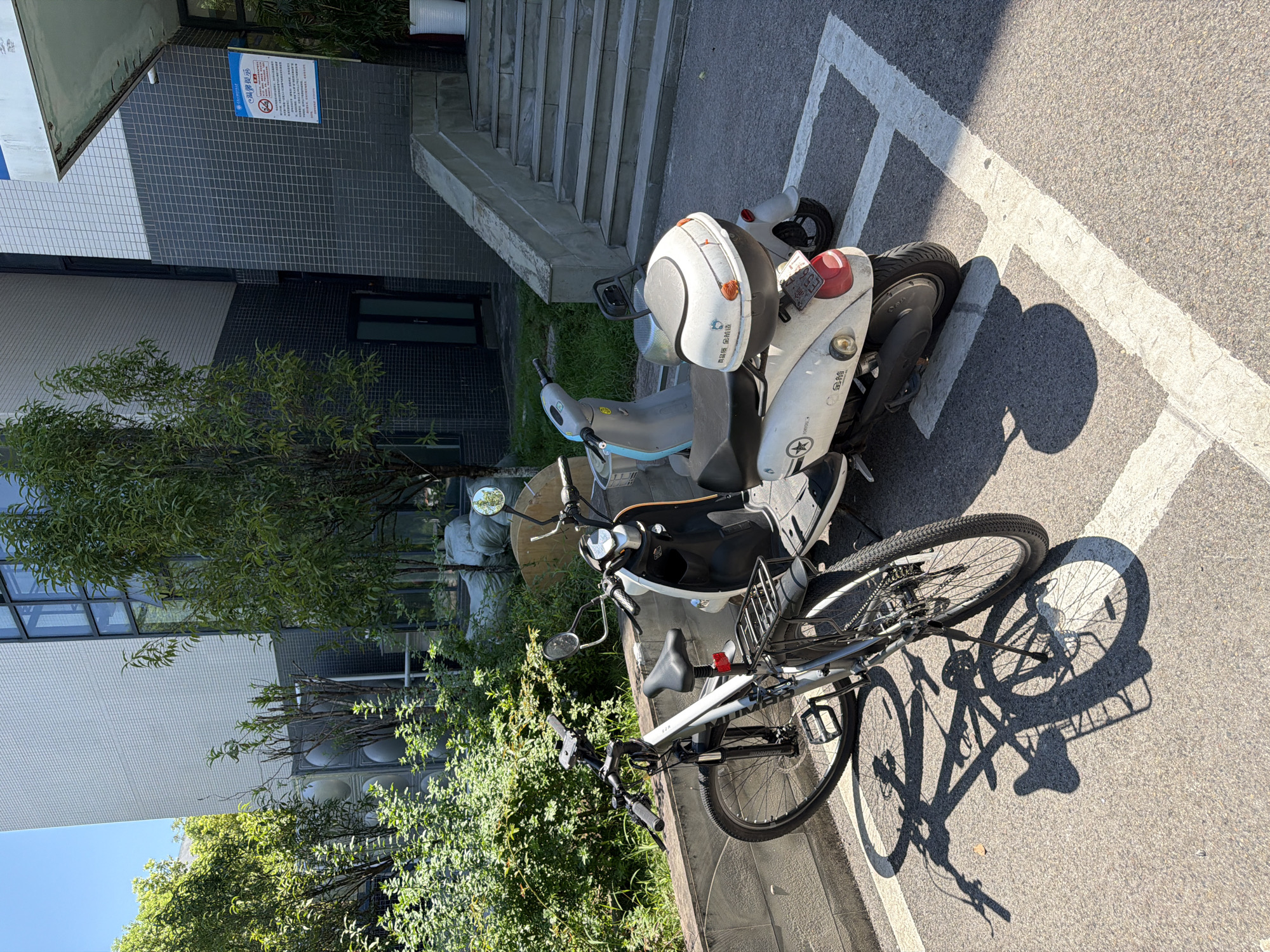 In Jiangjin, China, on a sunny day, a bicycle and two electric scooters are parked in designated spots on asphalt. The bicycle, silver and black, is positioned in the foreground, casting a long shadow. Behind it, a white electric scooter with a grey seat and a blue accent is parked to the left, and a white electric scooter with a black seat and a grey storage box is parked to the right. The scooters are facing slightly away from the viewer. Behind the vehicles, a low stone wall separates the parking area from a lush green bush. Further back, a modern building with white and dark grey tiled walls and large windows stands under a clear blue sky. A set of concrete stairs leads up to an entrance on the right side of the building, and a sign with Chinese characters is affixed to the wall near the top of the stairs.