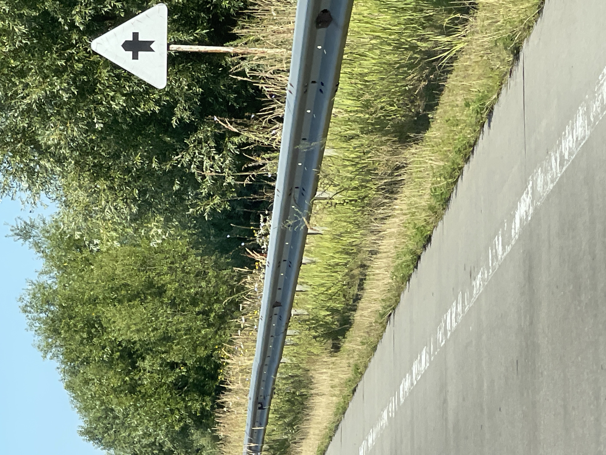 A white triangular road sign with a black symbol resembling an arrow pointing forward and splitting into two is visible on a metal pole. The sign is positioned near a metal guardrail, with a paved road and white lane markings in the foreground. Lush green trees and tall grass line the side of the road, suggesting a rural or semi-rural environment. The sky is clear and blue, indicating fair weather. The location is identified as Stremyhorod, Ukraine.