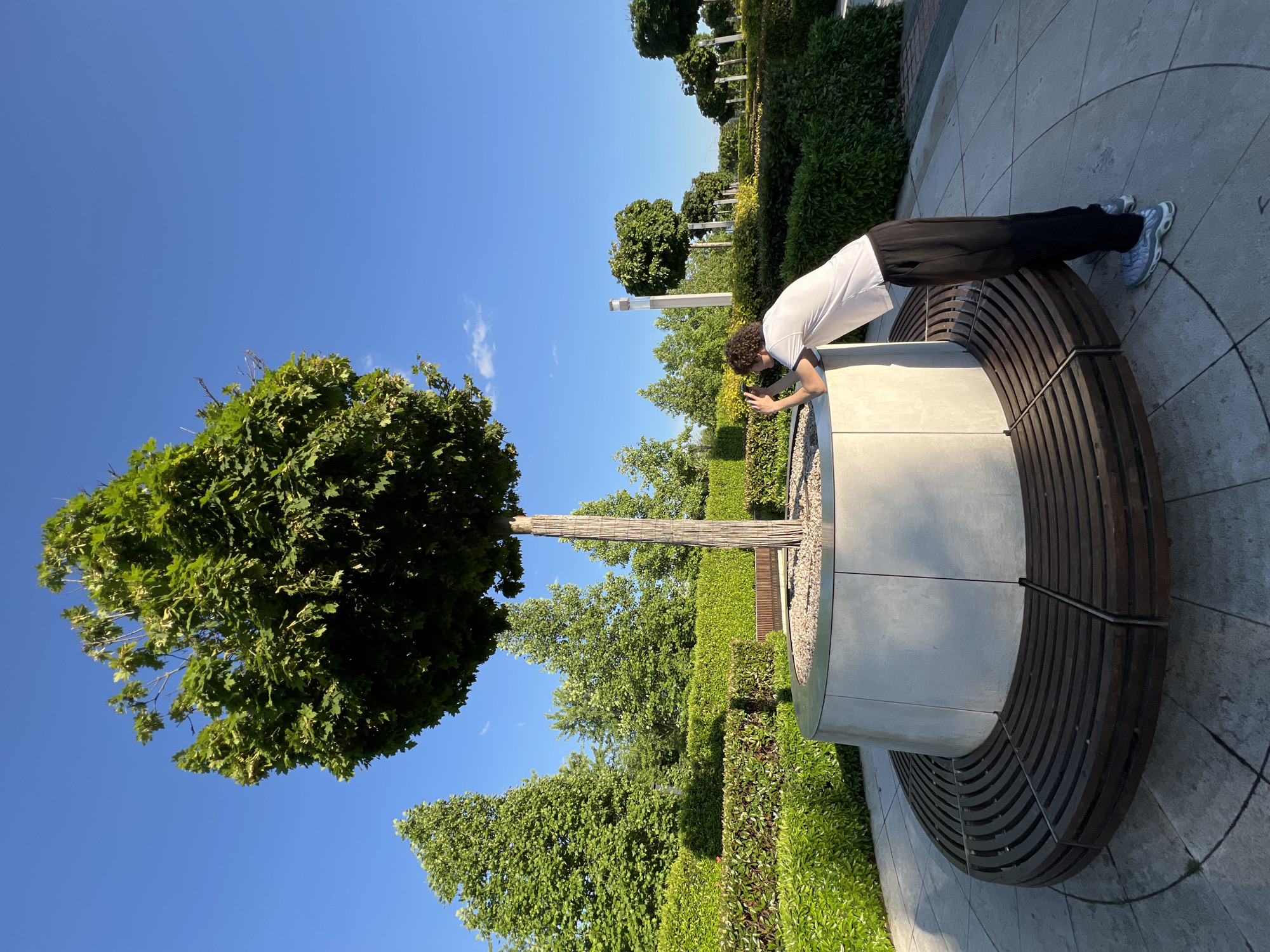 This image captures a bright, sunny day in a modern park or public garden in Krasnodar, Russia. The photograph is oriented vertically, showcasing a vast expanse of clear blue sky with a few wispy clouds towards the right.
In the foreground, a person is seen leaning over a large, circular planter that integrates a curved wooden bench. The individual, wearing a white t-shirt, dark pants, and light-colored athletic shoes, has curly hair and is bent forward, looking intently into the planter. They appear to be holding a small dark device, possibly a smartphone, suggesting they are observing or photographing something within the planter.
The planter itself is constructed from light-colored concrete, filled with small, light-toned gravel or stones, and features a stylish curved bench made of numerous horizontal wooden slats. A prominent, well-maintained tree with a dense, round canopy of green leaves grows from the center of the planter. Its trunk is visibly wrapped with a lighter-colored material.
The background reveals a meticulously landscaped environment with manicured hedges forming structured rows and additional trees with rounded canopies. The ground is paved with light-colored concrete, displaying subtle circular patterns that complement the design of the planter and bench. The overall scene depicts a well-designed and contemporary urban green space under a clear, bright sky, indicating midday or early afternoon. No discernible text is visible in the image.