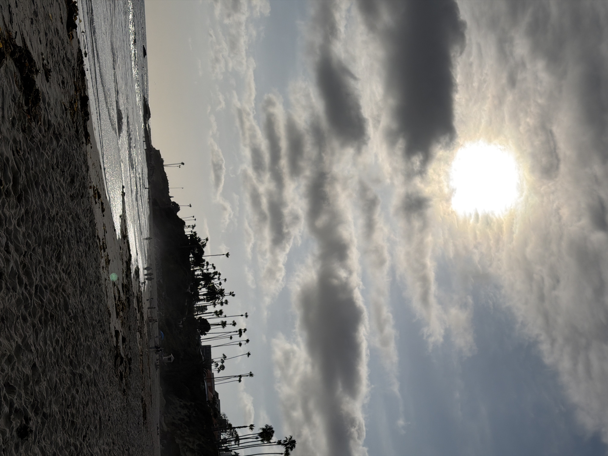 The image depicts a view of Main Beach in Laguna Beach, California, USA, during a cloudy day with the sun visible behind the clouds. The foreground is dominated by sand, with some patches of dark seaweed. The middle ground features the ocean with gentle waves breaking on the shore, and a sandy beach where a few people are seen walking and sitting. In the background, a cliffside is covered with palm trees and some buildings. The sky is filled with a mix of light and dark clouds, with the sun creating a bright, diffused glow.