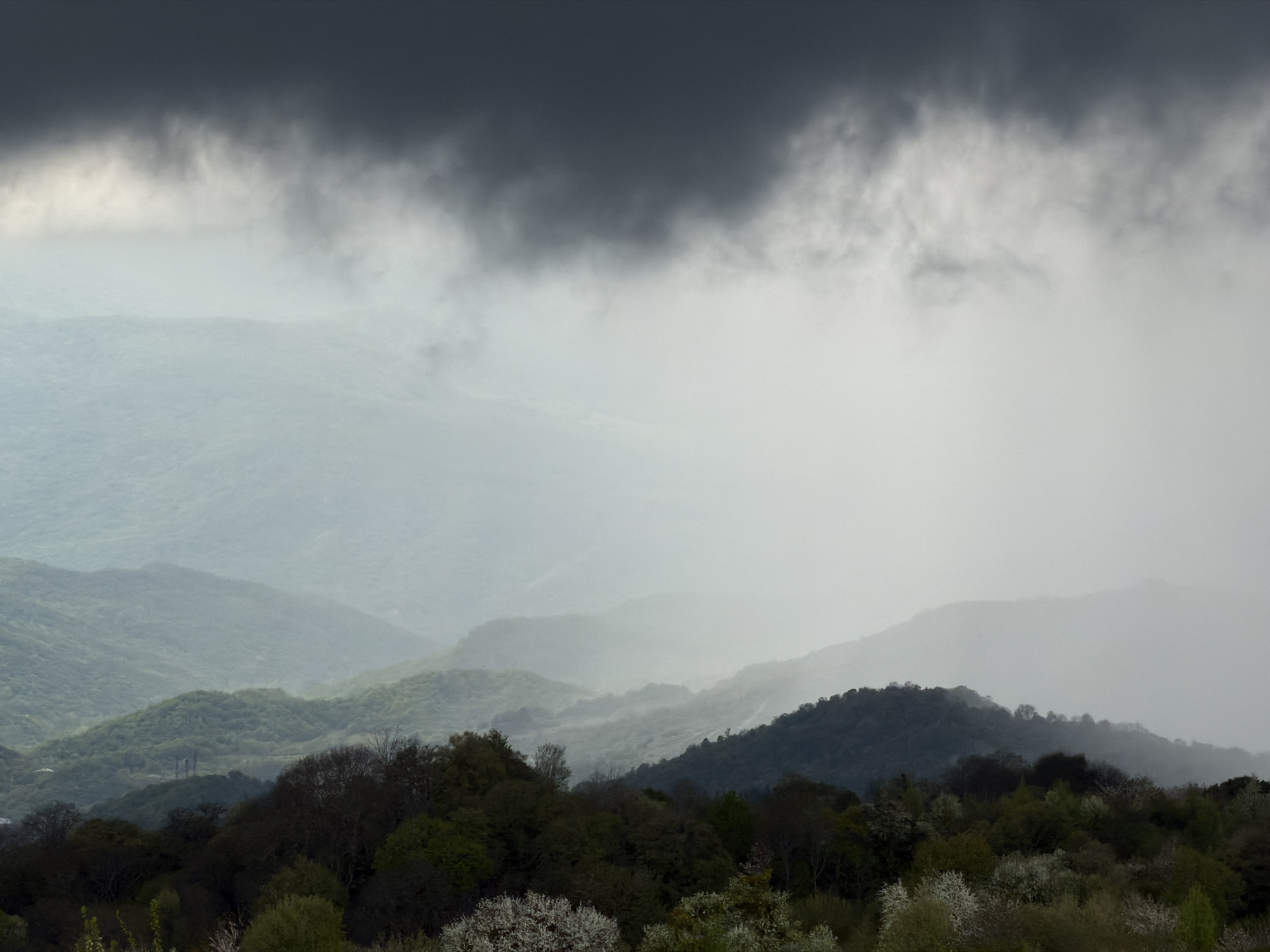 The image shows a landscape of rolling hills obscured by heavy clouds and fog. The foreground features dark, dense trees with some white blossoms visible. Midground consists of green hills fading into the distance due to the fog. The background is dominated by dark, ominous clouds. The location is likely not in a city, and there are no visible people, subjects, objects, actions, or interactions.