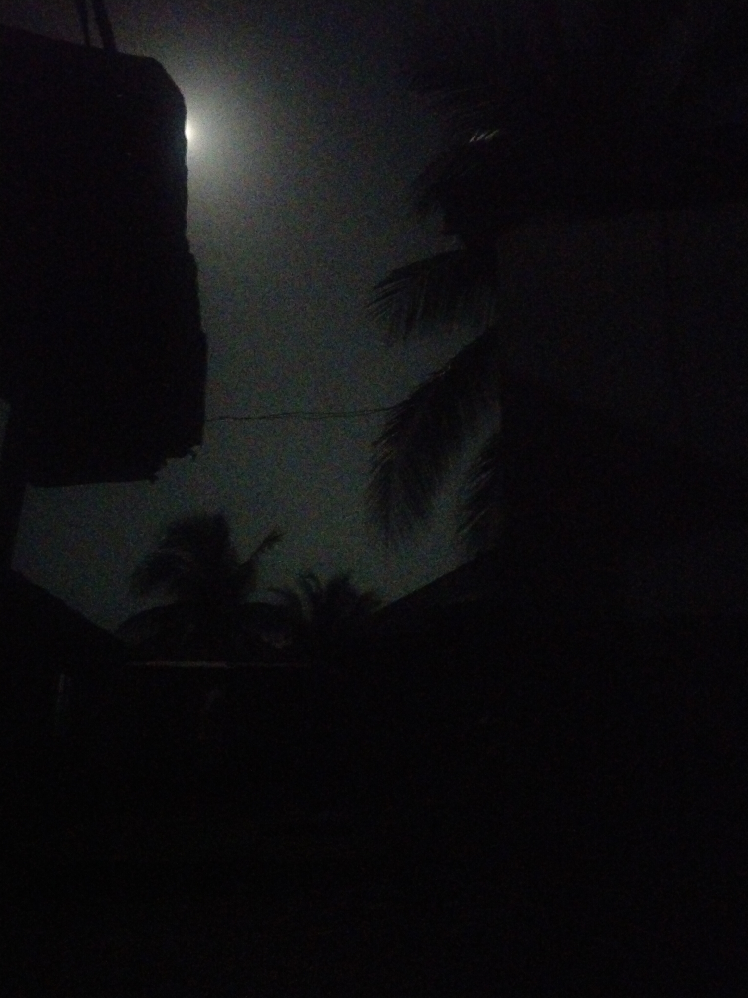 A very dark nighttime scene in Uyo, Nigeria, shows a brightly lit moon obscured by a cloudy sky. A dark object, likely a building, is visible in the upper left corner. Silhouetted palm trees stand against the night sky, with rooftops barely discernible beneath them. The foreground is almost entirely black, preventing further identification of details. A thin wire is barely visible stretching across the upper portion of the image. No people or other subjects are discernible.