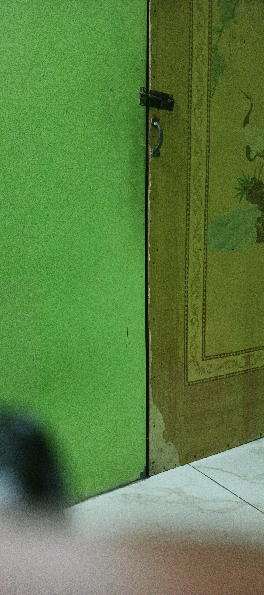 The image depicts a close-up of a partition or door that is partially a solid green color and partially a decorative panel. The green section is on the left and appears to be a wall or door panel with a textured surface. On the right side, a decorative panel is visible, featuring a faded pattern that suggests an oriental design with motifs like branches and possibly birds. The panel has a border with an intricate repeating pattern.
A metal latch and handle are attached to the seam between the two sections, indicating that this partition may be a movable screen or a hinged door. The overall colors are muted, with greens and yellows dominating the scene. The bottom of the image shows a floor, possibly tiled, with some discoloration or staining. A shadow is cast on the green surface from the left, obscuring a portion of the lower left quadrant.
The context of Temuwangi, Indonesia, is not directly observable from the visual information provided in the image. The scene appears to be indoors, focusing on the texture and details of the partition. There are no people or discernible actions captured in the frame. The lighting suggests an indoor environment, possibly with ambient light creating the shadow.