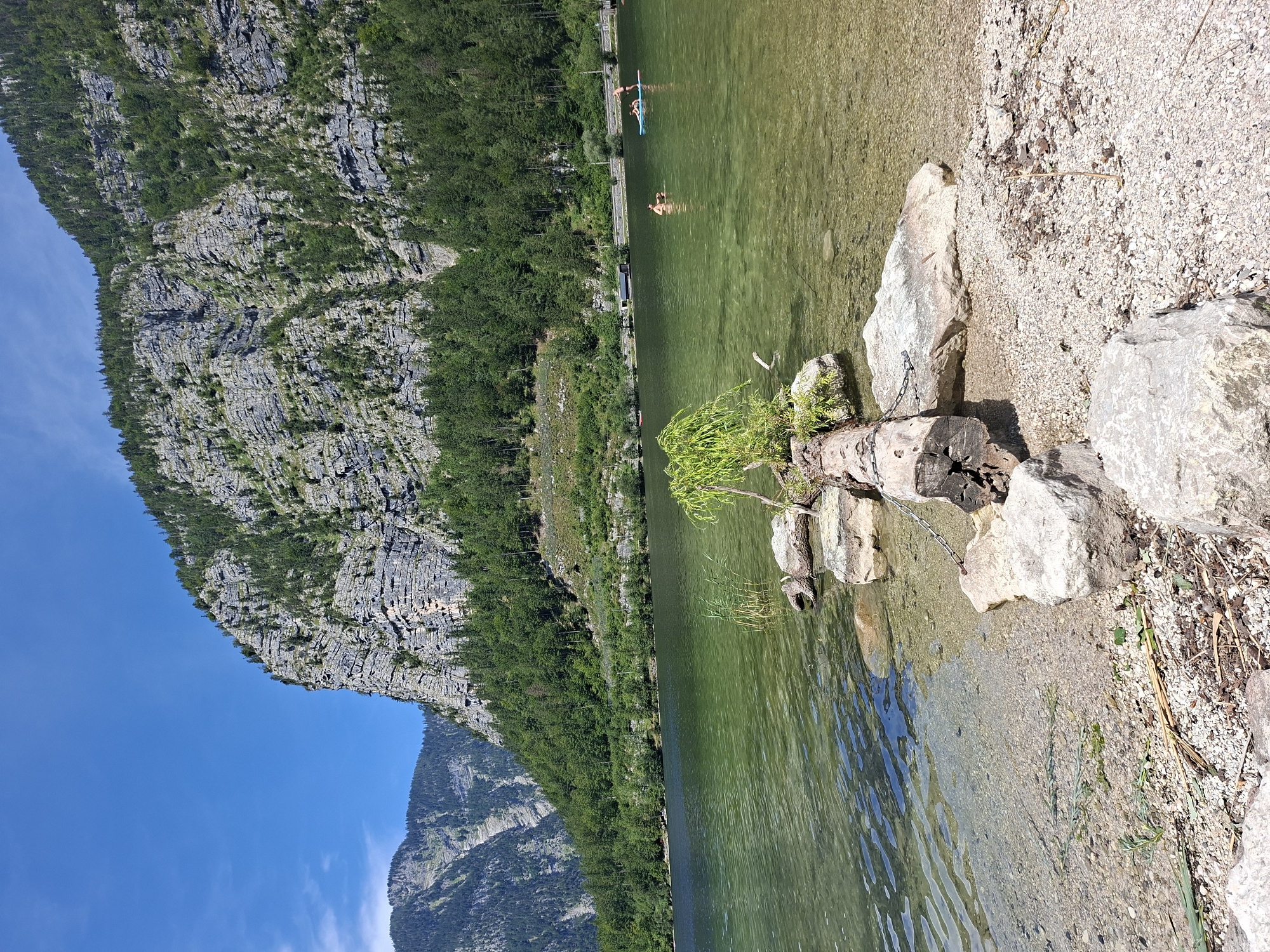 The image depicts a serene lakefront scene in Obertraun, Austria, with the majestic Dachstein mountains forming a dramatic backdrop. The foreground features a pebbled shore with large, light-colored rocks, some of which are partially submerged in the clear, green water. A fallen log, adorned with a small, vibrant green tree, rests on some of the rocks, adding a touch of natural artistry.
In the middle ground, the lake stretches out, its surface shimmering under the sunlight. Several individuals are enjoying the water. Two people are visible on a stand-up paddleboard in the right section of the lake, one standing and the other in a crouched position. Closer to the center, another person is partially submerged in the water, appearing to be swimming or wading.
The background is dominated by a steep, rocky mountainside covered in a dense forest of green trees. The rugged texture of the mountain and the vibrant green of the foliage create a striking contrast against the clear blue sky. The overall impression is one of natural beauty and leisurely outdoor recreation.
