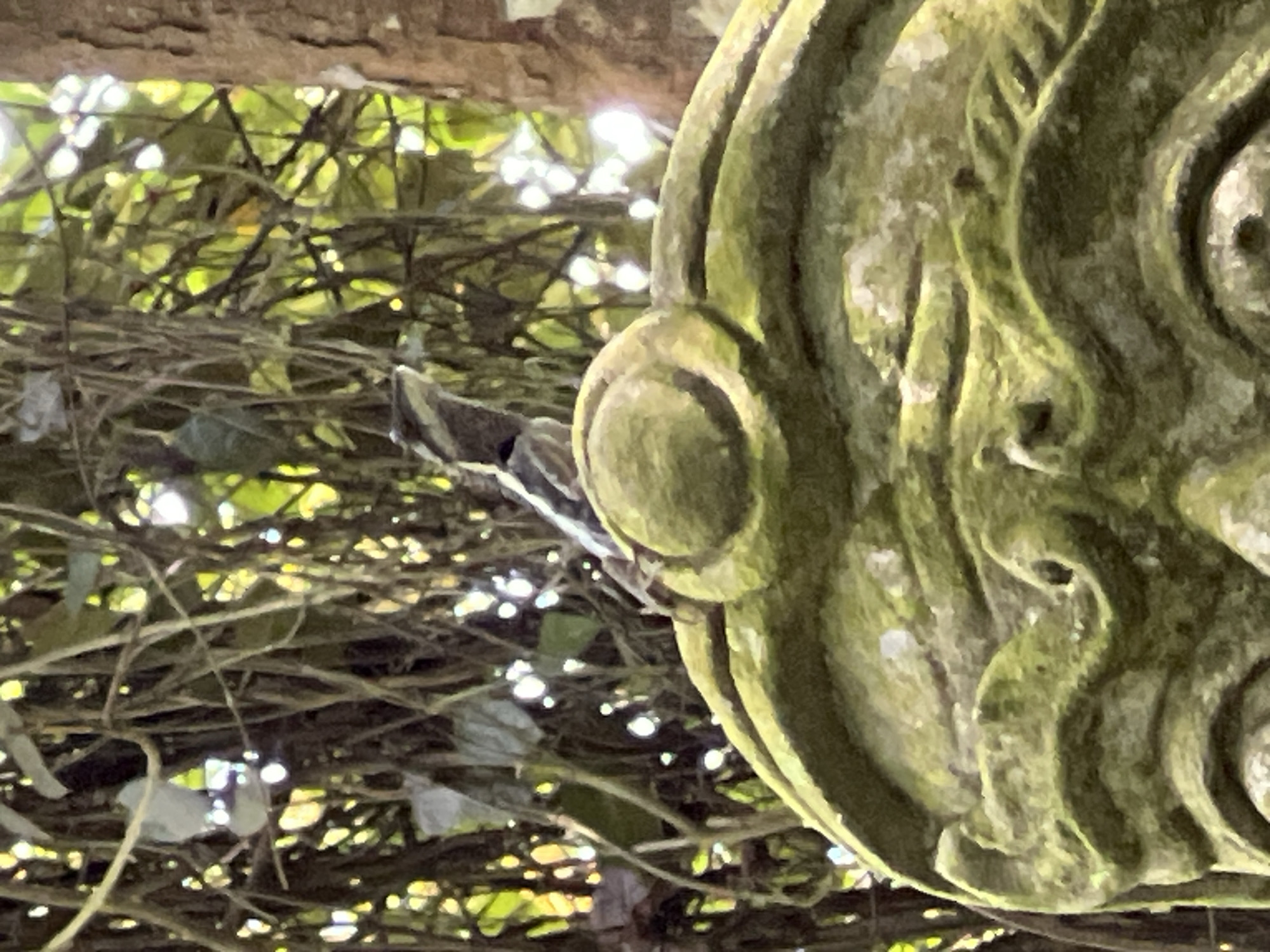 A lizard is perched on a moss-covered stone sculpture in Ban Bang Khao, Thailand. The lizard, small and detailed with stripes on its head, is positioned on the upper curve of the sculpture, which appears to be a stylized face or mask. The sculpture is a muted green, textured with moss and showing signs of age. Behind the sculpture, lush green foliage forms a dense background, with dappled sunlight filtering through the leaves and branches, creating bright highlights and darker shadows. The overall impression is of a natural setting where ancient art meets wildlife.