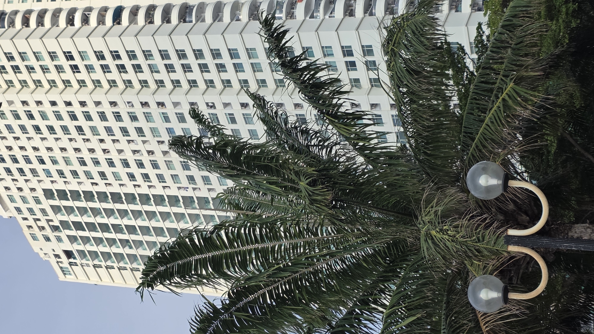 A low-angle, daytime shot shows a white high-rise building with numerous windows and balconies, partially obscured by the fronds of a palm tree. A decorative street lamp with two round, clear bulbs and curved, light-colored arms is visible amidst the fronds. The sky is light blue and the overall lighting suggests a sunny day. The location is likely in the city of Nha Trang Ward, Vietnam, due to the presence of a high-rise building and palm trees, elements commonly found in the coastal city.