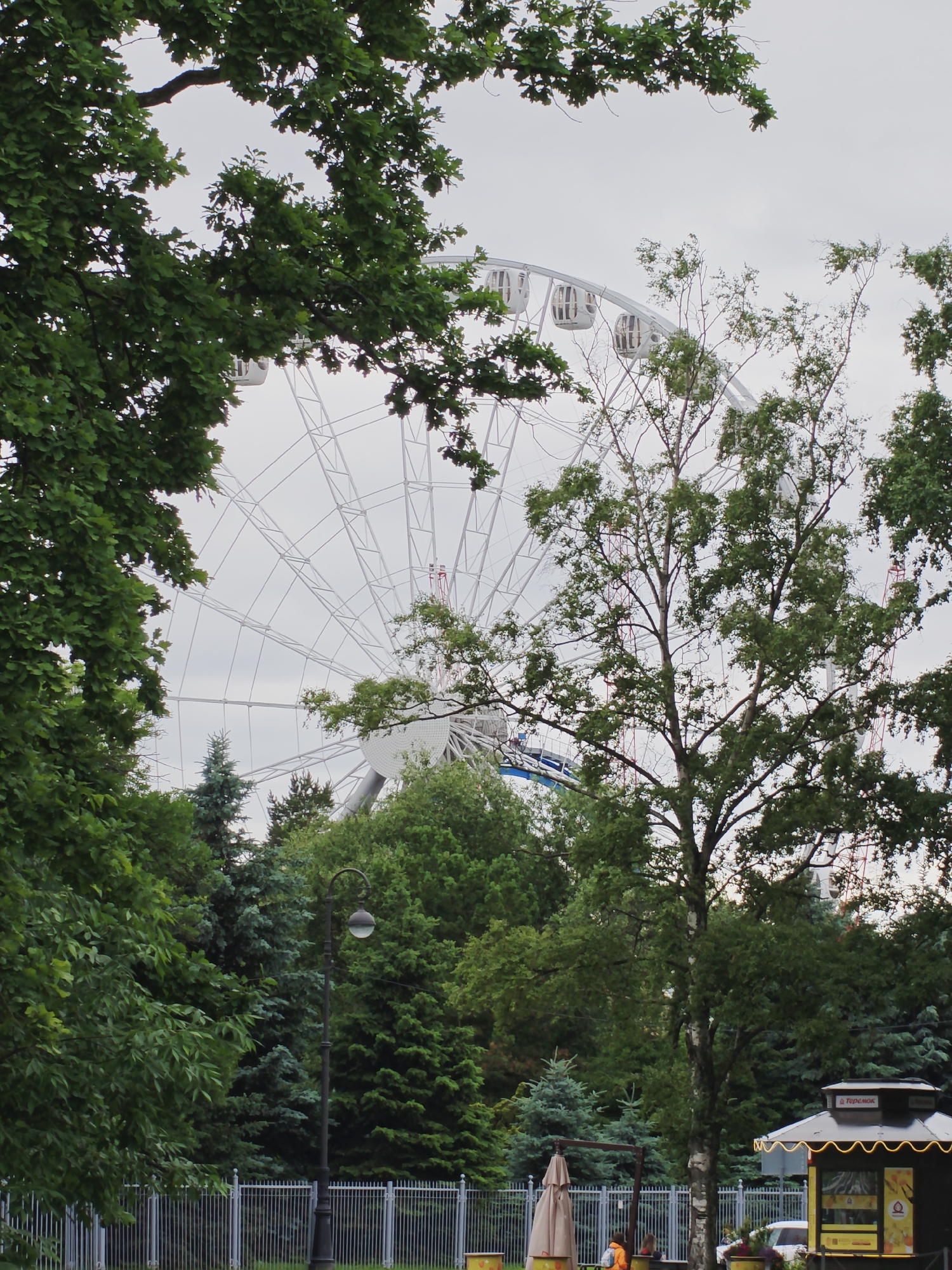 The image depicts a Ferris wheel in an amusement park, likely located in the city of Saint Petersburg, Russia. The Ferris wheel is a large, white structure with numerous gondolas, and it is partially obscured by lush green trees in the foreground and mid-ground. In the background, a cloudy sky suggests overcast weather. A lamppost stands near the center of the image, and a white metal fence runs along the bottom. To the right, a small kiosk with a yellow awning and the inscription "Теремок" (Teremok) is visible. Two individuals, one wearing an orange jacket and the other in a dark top, are seated at a table near the kiosk, possibly engaged in conversation. Several tables with beige umbrellas are set up in front of the kiosk. The presence of trees, a Ferris wheel, and a kiosk suggests a recreational area within the city.