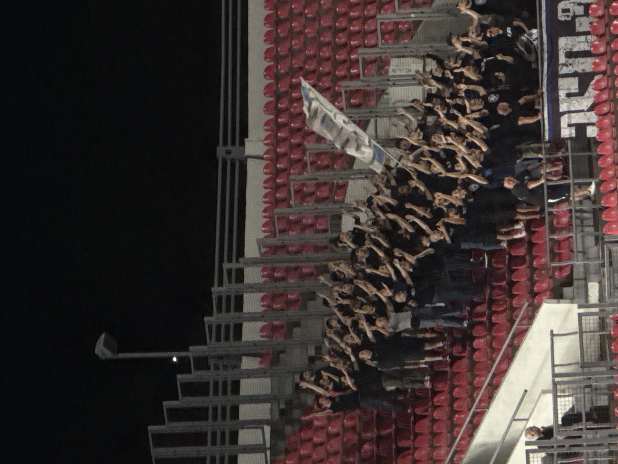 A crowd of spectators, some waving flags and raising their arms, are visible in a stadium seating area at night. The seats are red, and a large banner with white lettering is displayed. In the background, stadium lights are visible, as well as a tall light pole. One person is seated alone in a lower section of the stadium. The overall impression is that of a sporting event or concert. The image appears to have been taken at Dinamo Arena in Tbilisi, Georgia, a well-known venue for sporting and cultural events.
