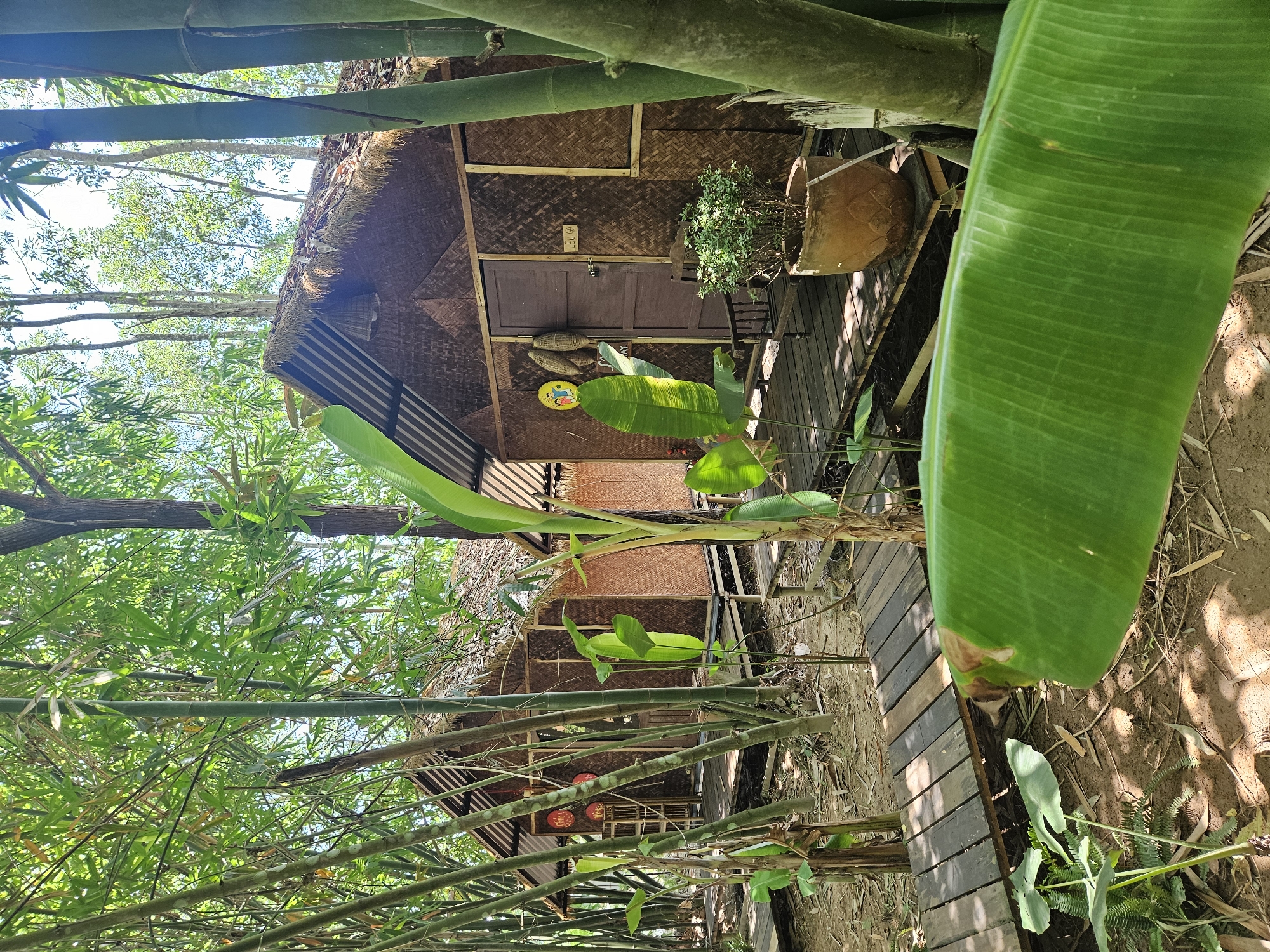 The image depicts a tranquil scene of bamboo huts nestled within a lush, green environment, likely a resort or eco-lodge. The huts are constructed with natural materials, featuring thatched roofs and woven bamboo walls. Wooden boardwalks connect the huts, leading through dense bamboo groves and tropical foliage. A large, green banana leaf dominates the foreground, framing the view of the huts and the surrounding nature. The scene evokes a sense of peaceful seclusion and connection with the natural world. The specific location in Đà Nẵng, Vietnam, is not explicitly stated in the image, but the tropical vegetation and architectural style suggest a Southeast Asian setting.