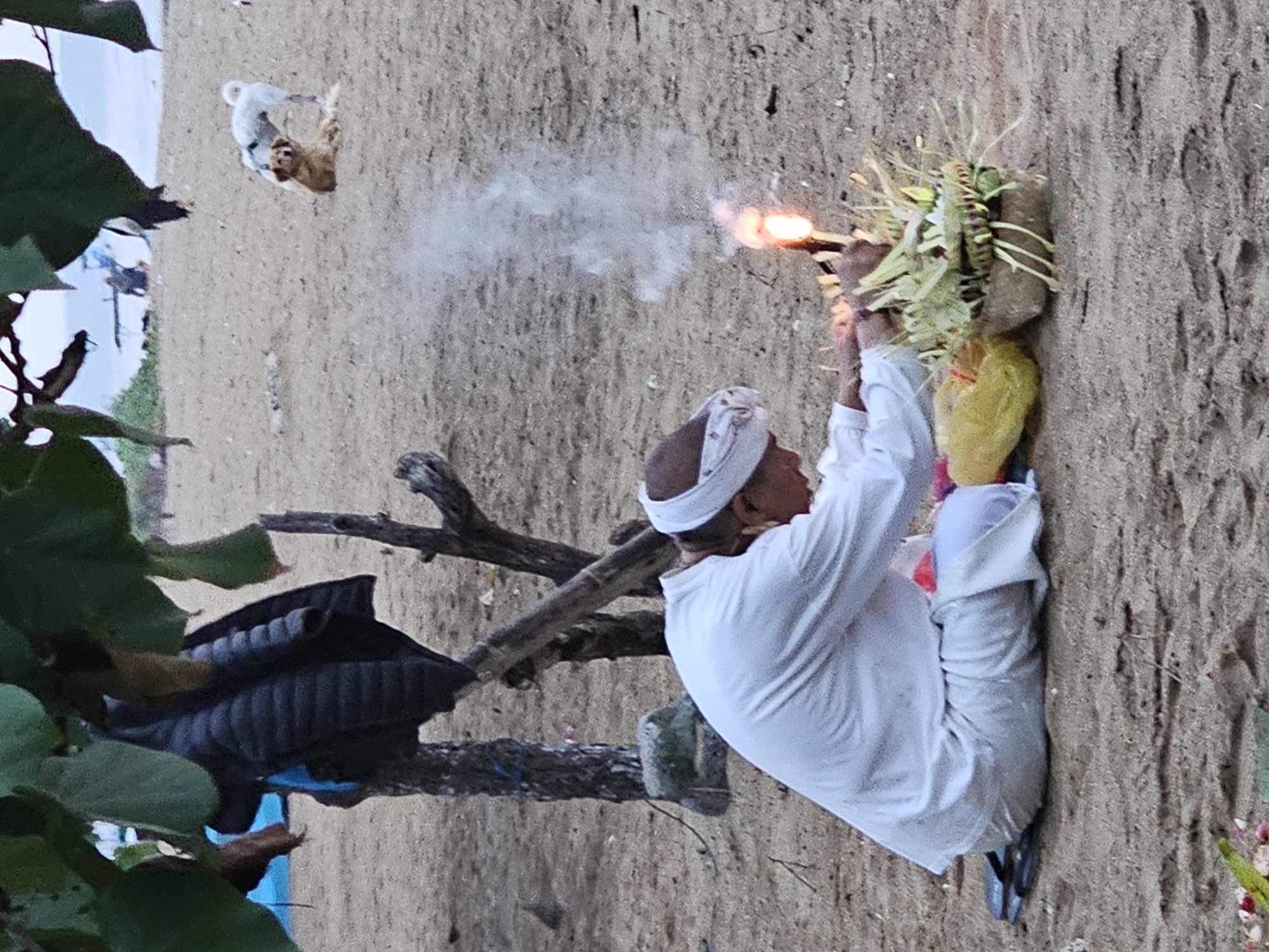 A person in white clothing, including a white head covering, is kneeling on a sandy beach. They are holding a burning object, possibly a stick or incense, with smoke rising from it. In front of them is a woven basket filled with green leaves and other plant materials, which appears to be part of a ritual or offering. A yellow plastic bag is visible to the left of the basket. In the background, two dogs are on the beach. One dog is light brown and sitting, while another white dog stands behind it. Further in the background, obscured by foliage, there are hints of a body of water and possibly some structures or boats. The overall environment is a beach with sand and scattered debris. The scene is likely located in Denpasar, Indonesia, given the presence of a ritual offering basket and the general coastal setting often found in the city.