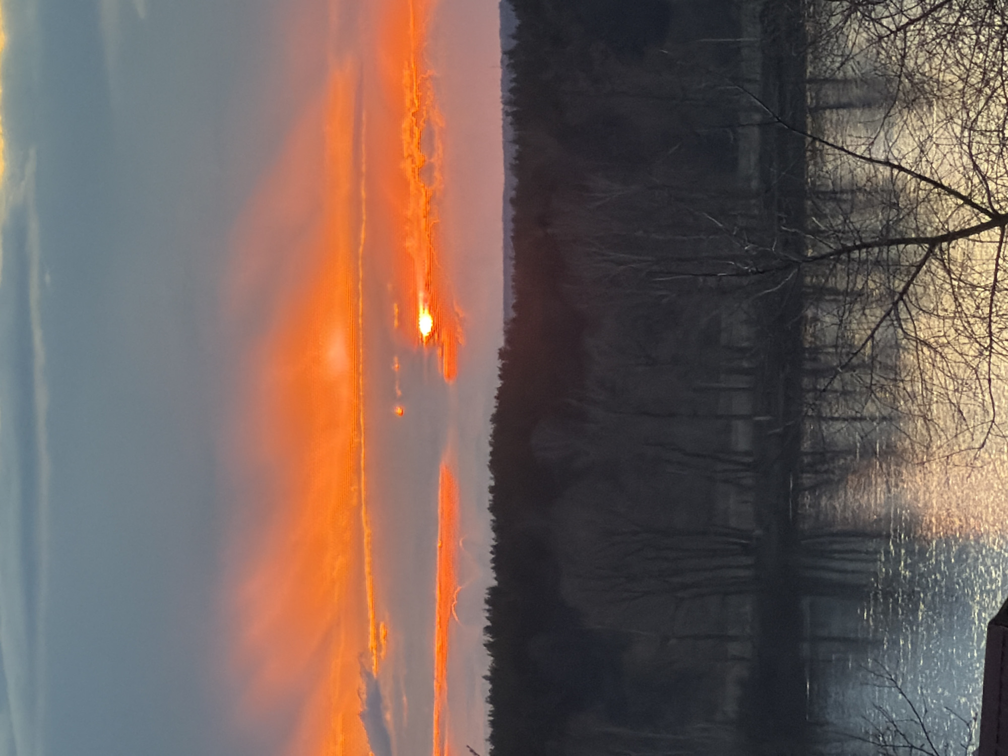 This horizontal image captures a breathtaking sunrise or sunset over a body of water in Chaikovsky, Russia. The sky is dominated by intense orange and red hues, with the sun appearing as a bright, glowing orb nestled amidst fiery clouds and streaks of light. Above these vibrant colors, patches of pale blue-grey sky are visible.
A dark, dense line of trees forms the distant shoreline, silhouetted against the brilliant sky and its reflection. The surface of the water mirrors the sky's dramatic colors, showing shimmering golden and orange light interspersed with darker, rippled areas where the trees' reflections are also visible.
In the foreground, on the right side, the intricate, bare branches of a tree extend into the frame, creating a delicate silhouette against the glowing backdrop. These leafless branches suggest a late autumn or winter season. The scene is a serene natural landscape, devoid of human activity or visible structures, capturing a moment of profound natural beauty. No text is visible in the image.