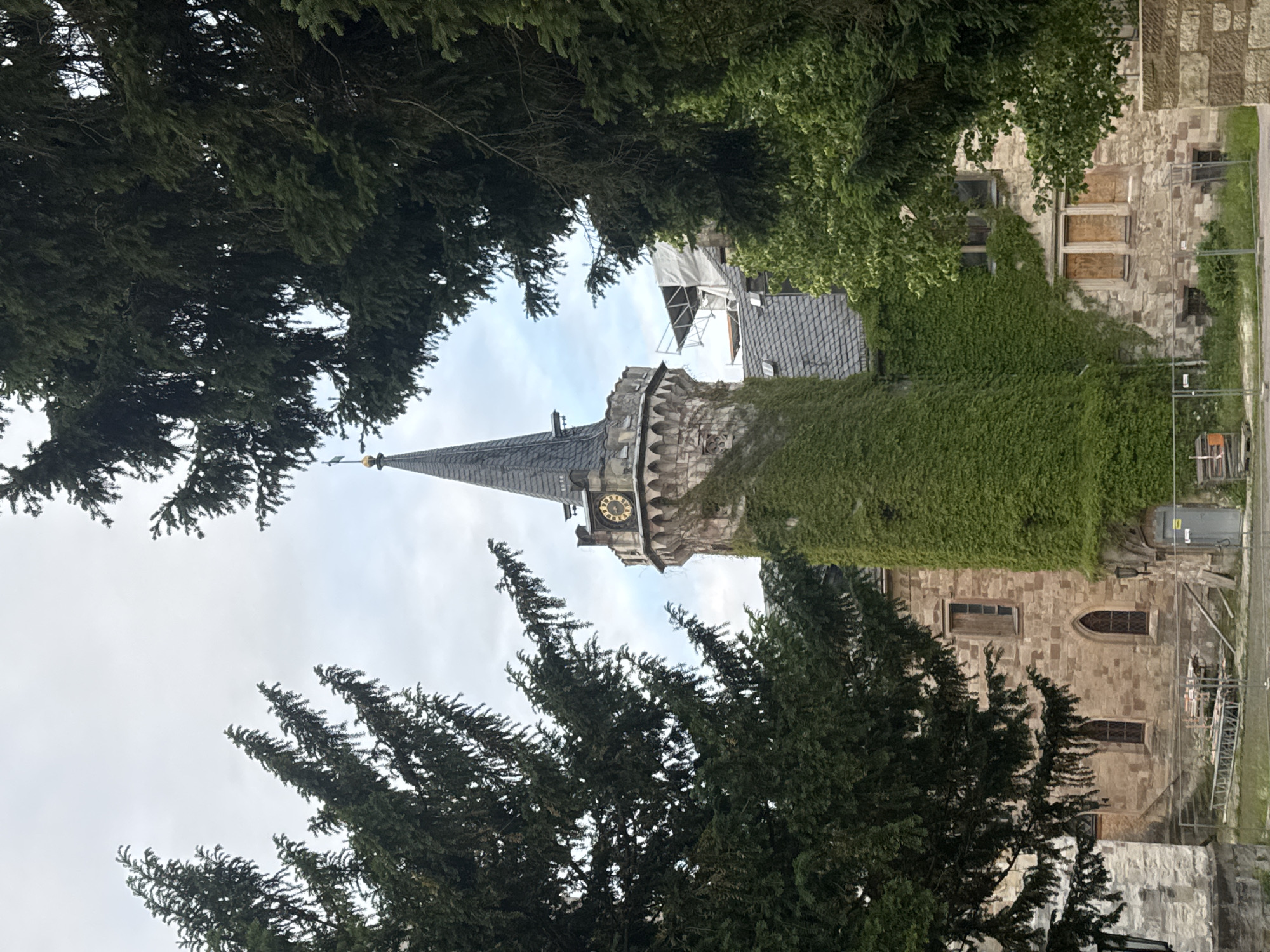 The image shows a view of a stone tower covered in ivy, with a spire topped by a weather vane. A clock face is visible on the tower. The tower is surrounded by trees with dense green foliage. In the background, part of a stone building with arched windows and a tiled roof is visible. There is scaffolding on a section of the building and a ladder leaning against it, suggesting construction or renovation work is in progress. Fencing is also visible. The sky is overcast, and the scene appears to be set in a town or city, with hints of urban elements in the background. The overall impression is one of historical architecture integrated with nature. The orientation of the image is vertical, with the top of the scene appearing at the left.