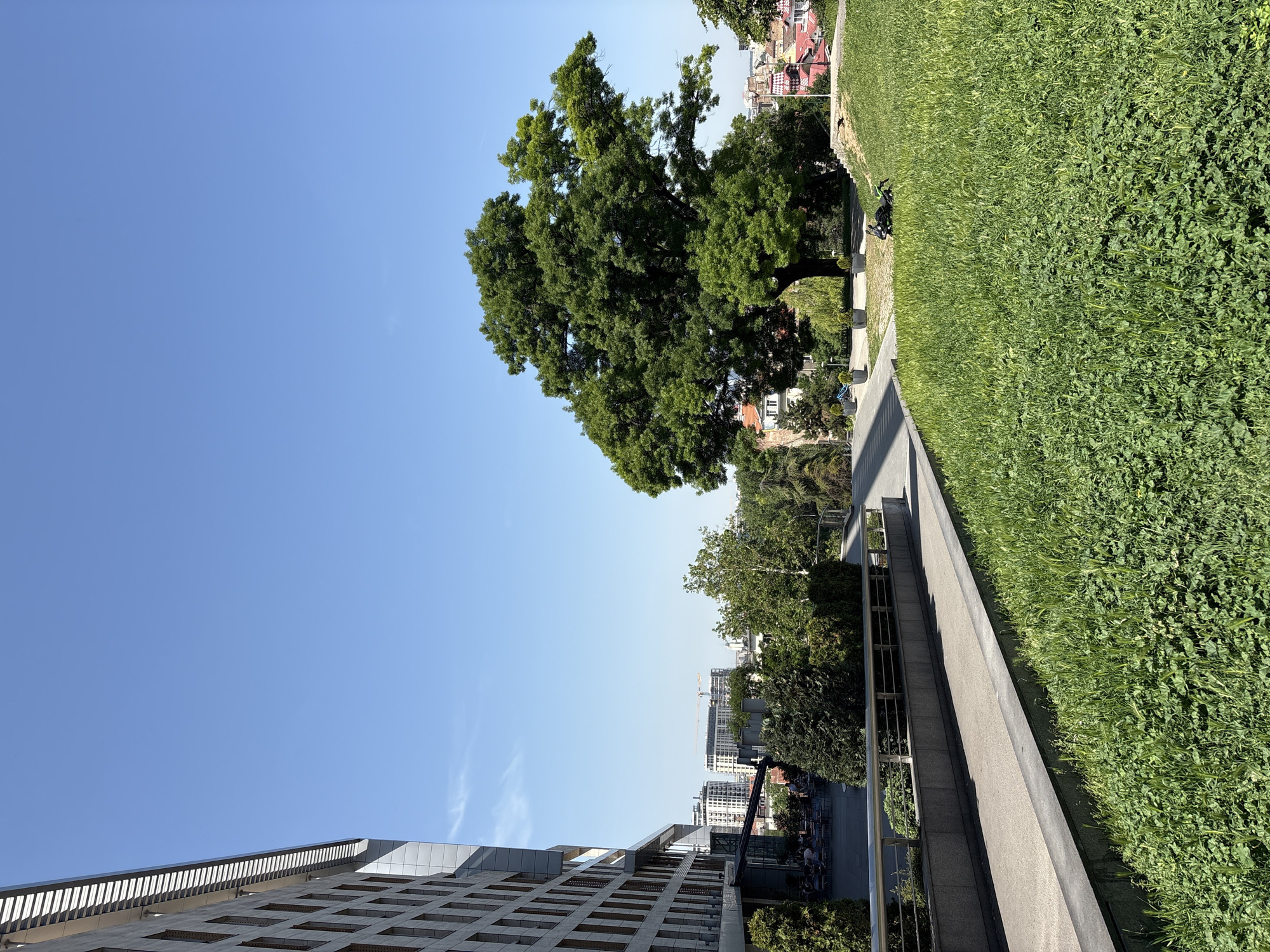 The image depicts a park landscape in Belgrade, Serbia, featuring a concrete walkway bordered by a lush green lawn on one side and trees and buildings on the other. In the background, city buildings, and a construction crane are visible against a clear blue sky. A tree with dense green foliage stands prominently along the walkway. The foreground showcases a modern building with a structured façade. No people are immediately visible.