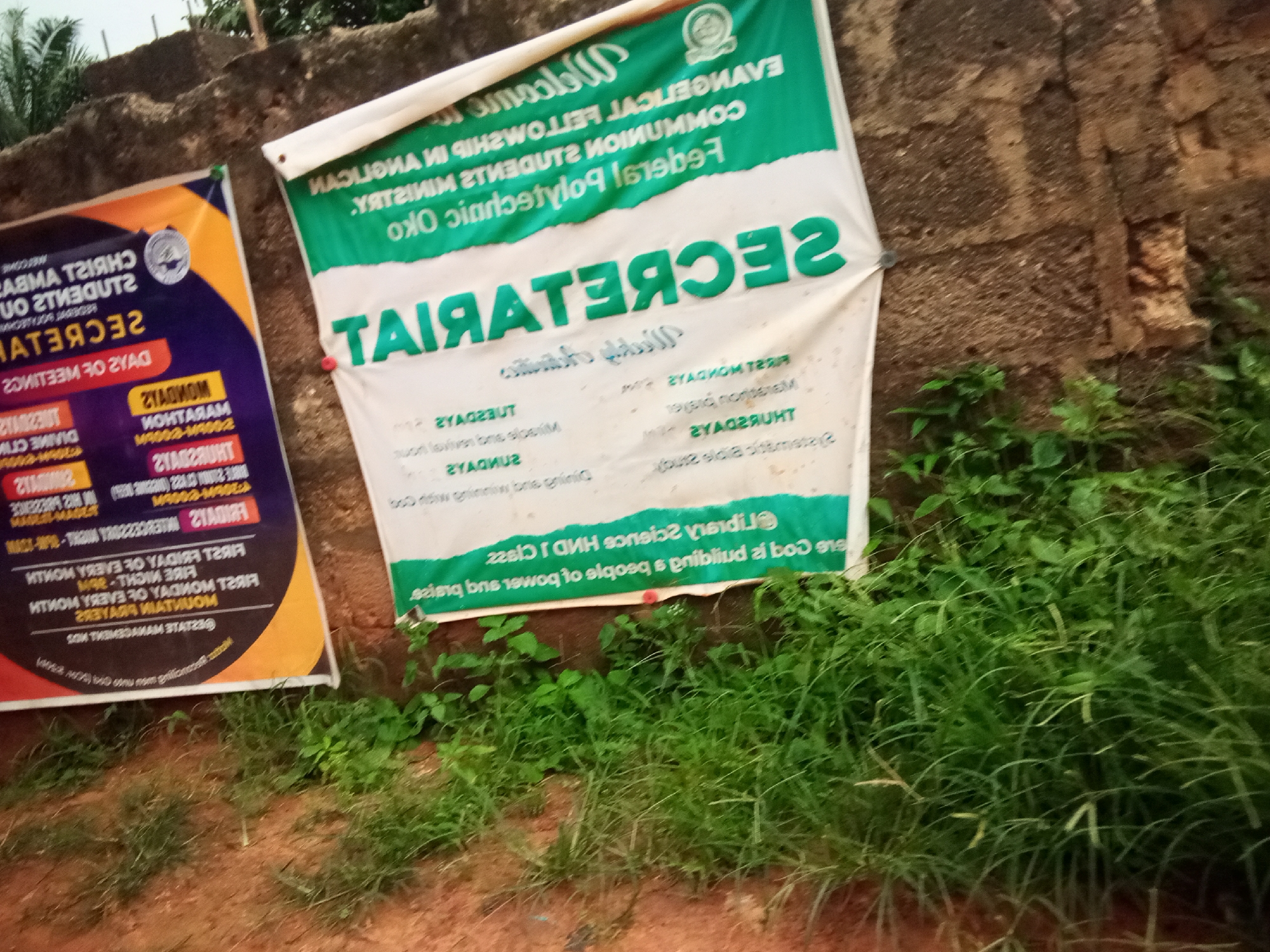 In Oko Town, Nigeria, two large white banners are affixed to a rough, stone wall. The banner on the left, which is partially obscured by the banner on the right, is predominantly purple and yellow and features the text "CHRIST STUDENTS OUT" and "SECRETARIES." The banner on the right is white with green text, and prominently displays the words "WELCOME EVANGELICAL FELLOWSHIP IN THE NIGERIA" and "FEDERAL POLYTECHNIC OKO" in the upper section. Below this, larger green text reads "SECRETARIAT." The lower portion of this banner lists various days and times. The banners are positioned outdoors, with green foliage and grass growing at the base of the wall, suggesting an area with vegetation. The overall scene appears to be a candid shot, likely taken from eye-level.
