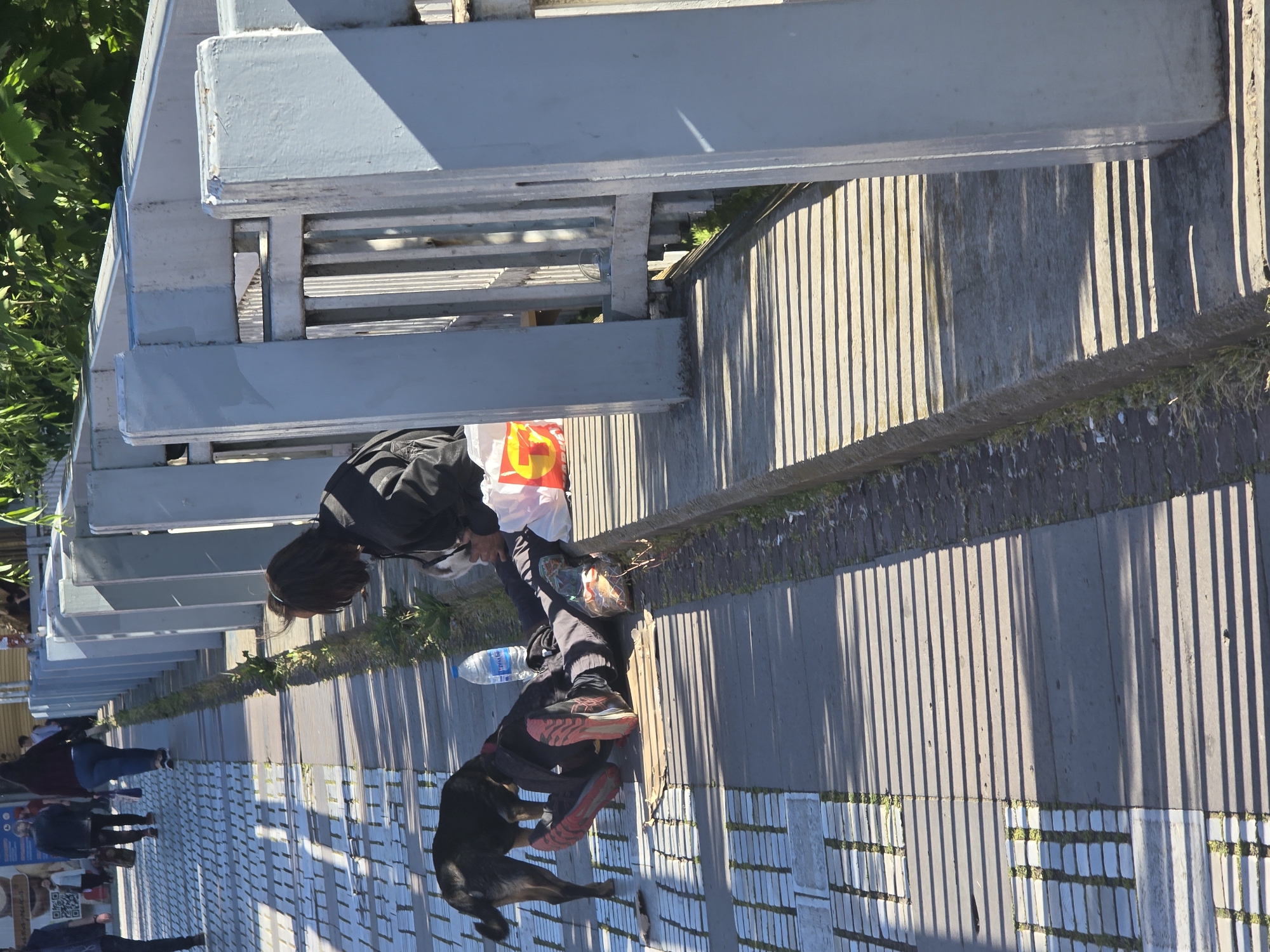 The image shows an outdoor scene. A person stands on a brick pathway with a dog. They are wearing a black jacket and black pants, and they have a bottle of water and a McDonald's bag near them. The dog is dark-colored and appears to be interacting with the person's legs. The pathway is lined with a low concrete barrier that casts shadows on the ground. In the background, there are structures, possibly a bridge, and other people walking in the distance.
