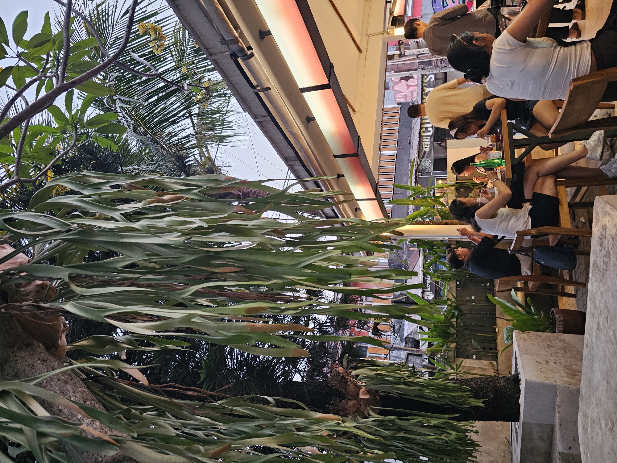The image depicts an outdoor seating area at a cafe, likely in Yogyakarta, Indonesia, judging by the "KEDAI GURKY'S" sign visible in the background. Several people are seated at tables, engaged in dining and conversation. One person in the foreground is looking at their phone. Large, cascading staghorn ferns hang from a tree, creating a natural canopy over the scene. The cafe has a modern, open-air design with a white awning and lighting fixtures. The overall atmosphere appears relaxed and casual.