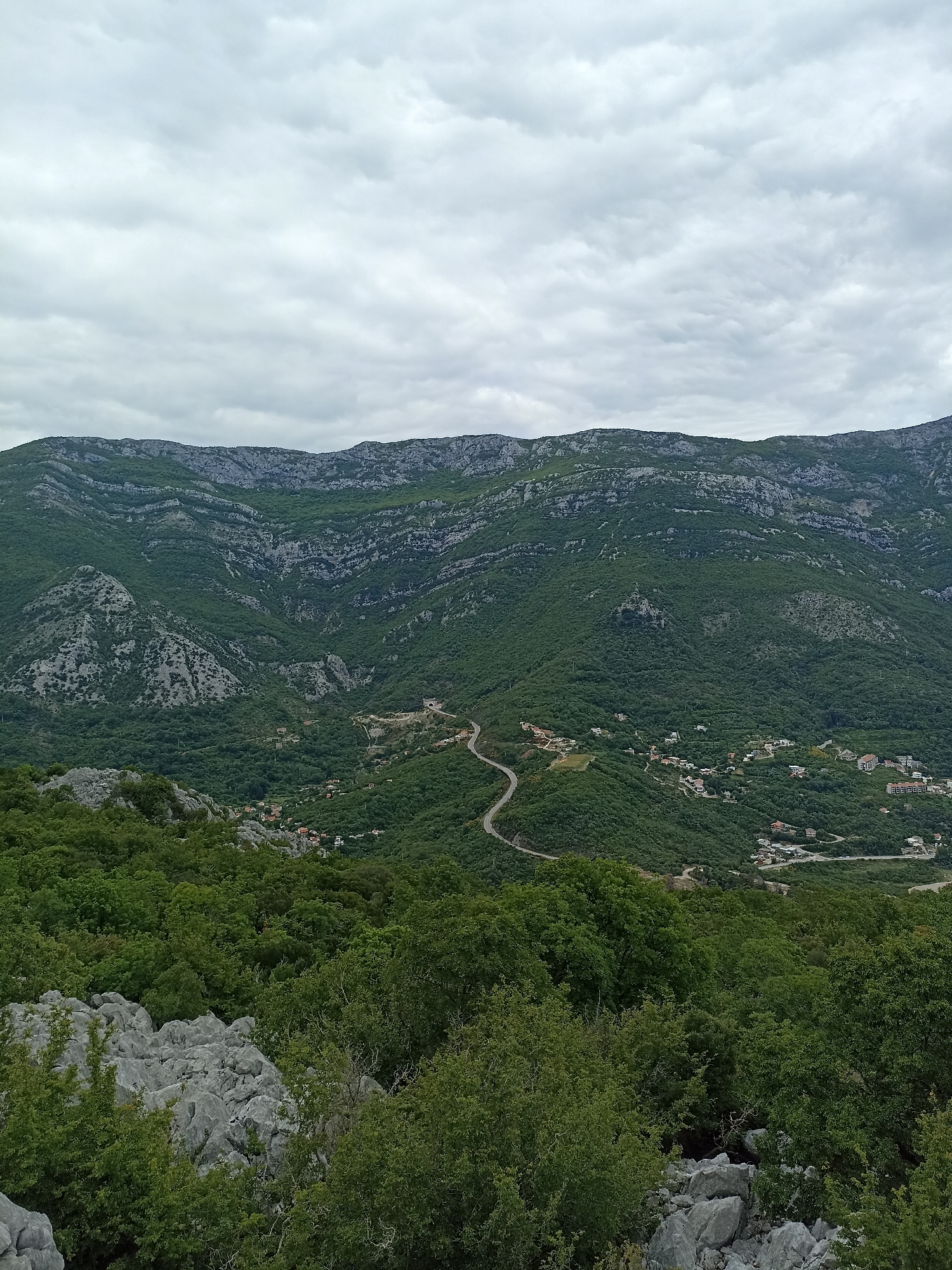 The image shows a landscape view in Mišići, Montenegro. A winding road descends through a green, wooded valley toward scattered buildings. The road passes under a mountain. The mountains are composed of gray stone cliffs and green vegetation. The sky is overcast with gray clouds. In the foreground, there are trees and exposed rocky outcroppings.