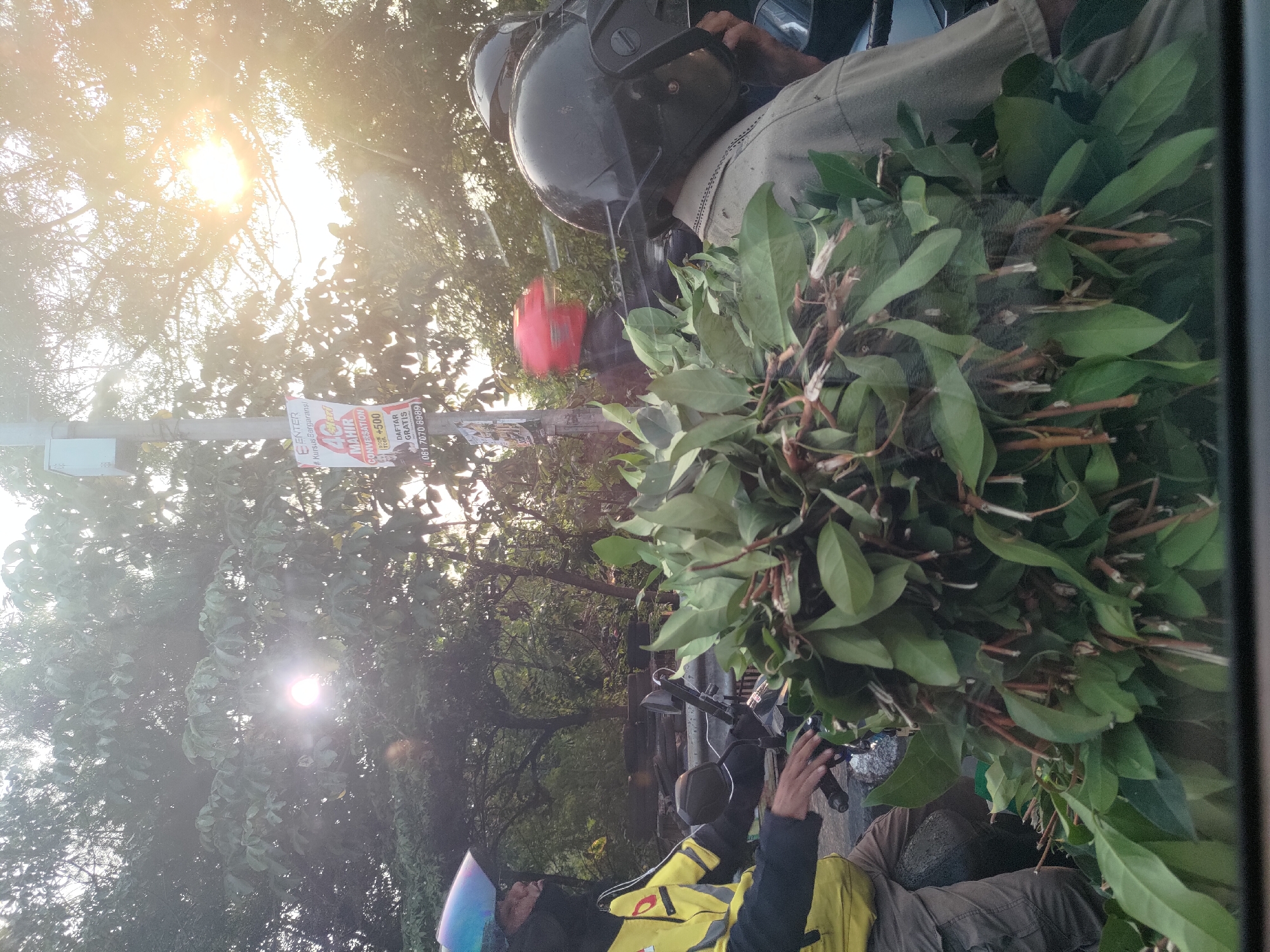 The image, taken in Depok, Indonesia, captures a street scene on a sunny day. In the foreground, a large bundle of green leaves with brown stems is prominently displayed, obscuring parts of the scene behind it. To the left, a person wearing a yellow jacket, black mask, and blue helmet is riding a motorcycle. They are holding onto the handlebars, suggesting they are the driver. Behind them, the head of another person wearing a black helmet is visible, indicating a second motorcycle is present. Further back, a person in a red helmet is blurred due to motion. A utility pole stands near the center of the image, adorned with a poster that advertises a course. The background consists of trees and foliage, with the bright sun filtering through the leaves, creating lens flare and a hazy atmosphere. The overall impression is a snapshot of daily life and transportation in an urban environment, possibly a busy road or market area, with the motorcycle riders transporting goods.