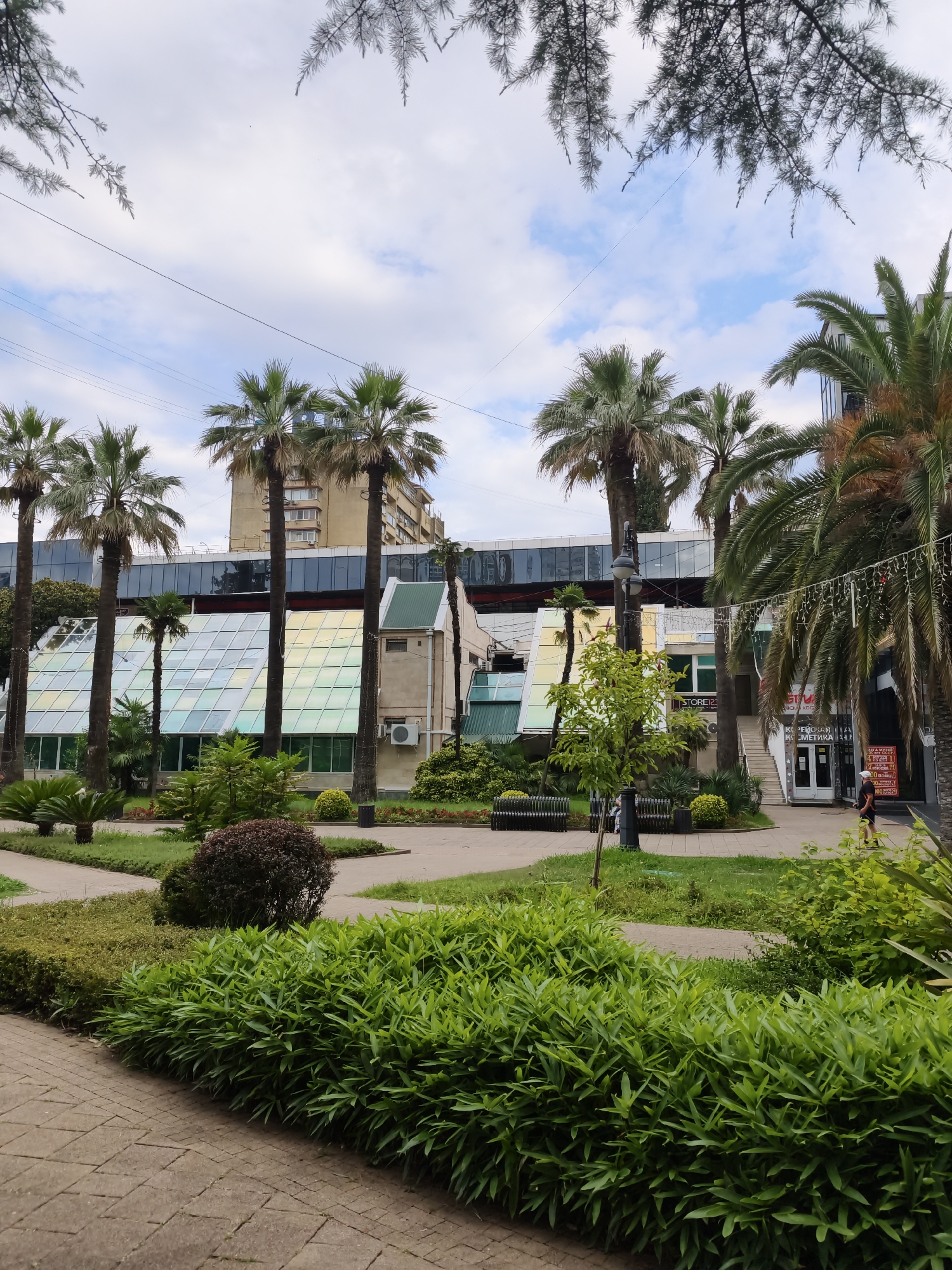 This is a medium-shot, eye-level, outdoor, vertical, full-color photograph of a green park area in front of a modern building complex with a glass facade. The sky is overcast with some scattered clouds and blue patches.
In the foreground, a brick pathway curves from the lower left to the middle of the frame. A dense, vibrant green hedge runs along the right side of the pathway. Behind the hedge, more manicured greenery and small trees are visible, interspersed with paved walkways and dark park benches. Several tall palm trees are prominent features, some with brown, dried fronds.
The building in the background features a multi-story structure with a long, horizontal glass section that reflects the sky and surrounding environment in shades of blue, green, and yellow. Below the glass facade, there is a lower building with an air conditioning unit visible on its exterior wall. To the right of the building, a store with signage is visible, and a lone individual in dark shorts and a t-shirt is walking away from the camera towards the right.
The overall scene suggests a well-maintained urban park or public space, likely in a warm climate given the presence of palm trees. The lighting is soft, consistent with an overcast day, and the colors are rich and natural. The presence of power lines overhead indicates an urban setting.
This scene is located in Sochi, Russia, specifically in the area of the Maritime Station, a prominent landmark in the city.