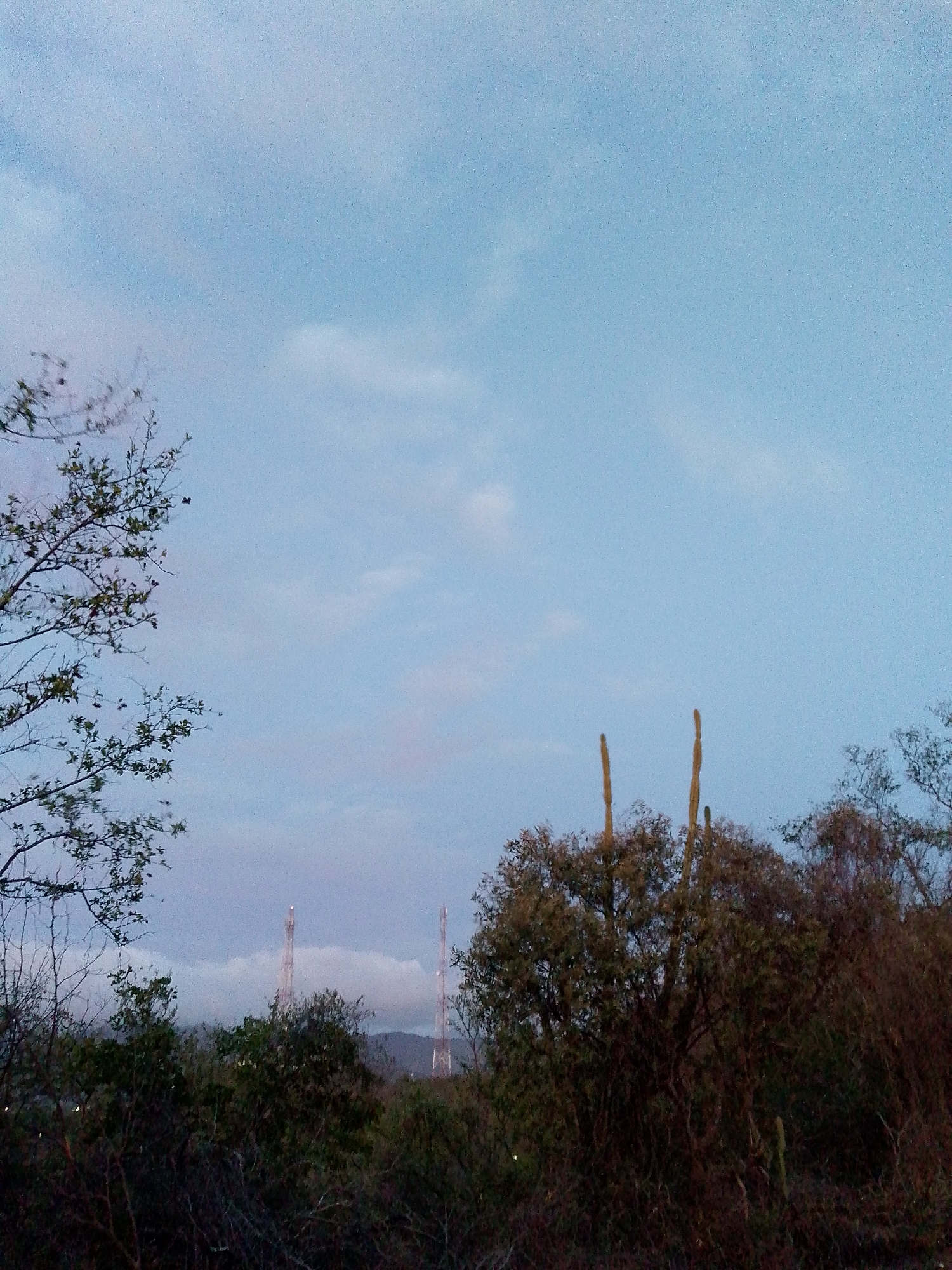 The image shows a landscape near Altagracia, Venezuela, featuring a dense thicket of trees and shrubs in the foreground and midground. Two tall radio or cell phone towers are visible in the distance. The sky is blue with some scattered clouds, suggesting either early morning or late afternoon light. The vegetation appears to be typical for a semi-arid or tropical environment. The overall scene conveys a rural or undeveloped area near the city.