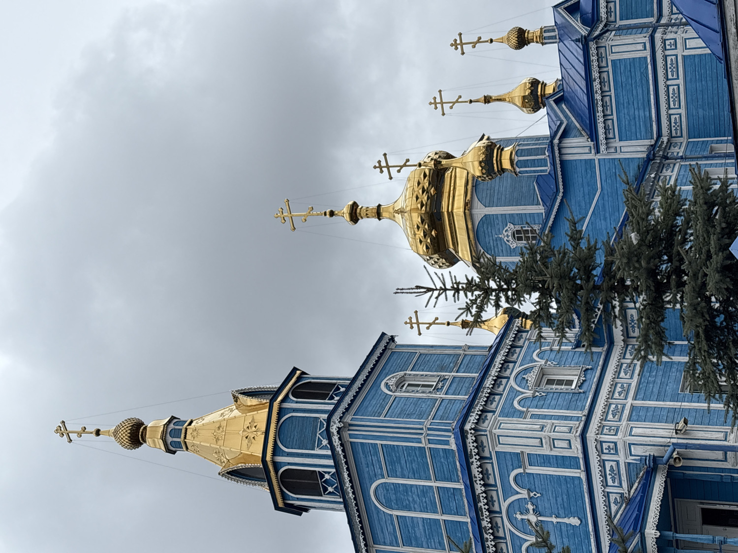 The image showcases a majestic Eastern Orthodox church, characterized by its striking blue and gold color scheme, set against an overcast, grey sky. The church features multiple onion-shaped domes, all appearing gilded in a radiant gold, each surmounted by a distinctively styled Orthodox cross. The main structure of the church is constructed from wood, painted a vibrant blue, and adorned with intricate white decorative trim and patterns along its cornices, window frames, and vertical paneling. Several windows, both arched and rectangular, are visible with white sills and frames. In the foreground and midground, parts of dense evergreen trees, likely fir or pine, partially obscure the church building, adding a natural element to the scene. The overall perspective is an upward angle, emphasizing the grandeur and height of the church against the muted tones of the cloudy sky. The architectural style, particularly the onion domes and Orthodox crosses, strongly suggests its location in Ulyanovsk, Russia. There is no discernible activity or visible text in the photograph. The time of day is daytime, under a uniformly cloudy sky.
