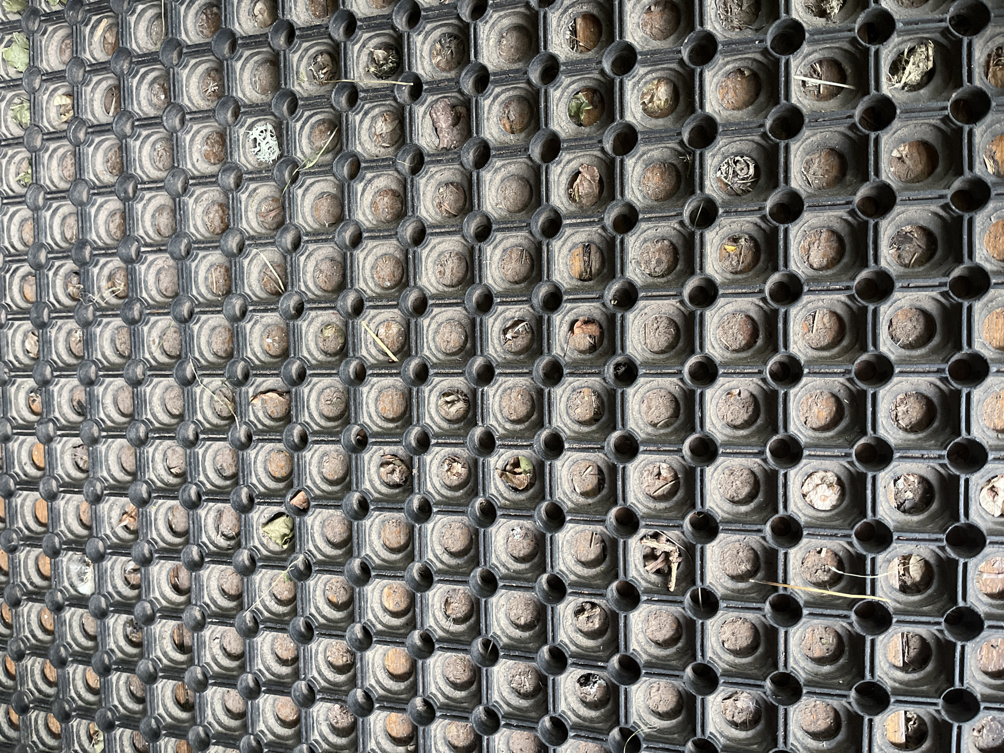 This image shows a close-up, high-angle view of a black rubber mat with a hexagonal grid pattern. Each hexagonal cell contains a circular indentation filled with dirt, debris, and small pieces of organic matter such as twigs and dried leaves. The texture of the mat is rough and worn, suggesting it has been used outdoors. The lighting is consistent, indicating it was taken during the daytime. The overall scene is one of a well-used, functional object in an outdoor setting, possibly a doormat or a mat for protecting a surface. No people are visible, and there is no text present in the image. The context provided suggests the location is Starye Politsy, Russia.