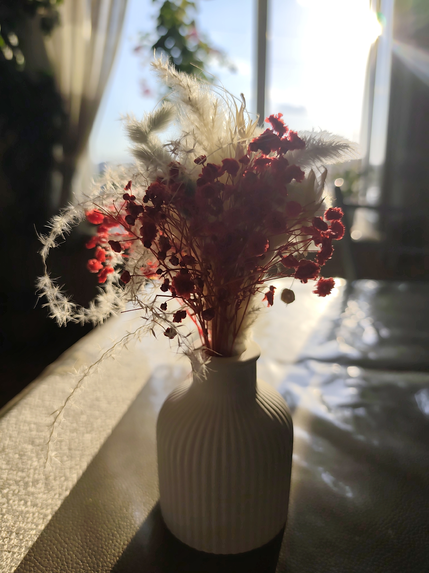 A still life photograph taken indoors captures a vase filled with dried flowers. The vase is light in color, featuring a ribbed texture, and is positioned on what appears to be a cushioned surface. The arrangement of dried flowers consists of a mix of feathery white elements and clusters of small red flowers with thin, wiry stems.
The background is softly blurred, revealing a window that allows natural light to flood the scene. The light source seems to be behind the subject, creating a bright glow that washes out some details of the cityscape visible through the window. A hint of greenery suggests outdoor vegetation beyond the windowpane.
The overall lighting creates a warm and somewhat hazy atmosphere. The composition focuses on the contrast between the textured vase and the delicate arrangement of dried flowers against the blurred background.
The photograph was taken at location with coordinates 58.3575, 56.9853, which is in the city of Нижний Пальник, Russia.