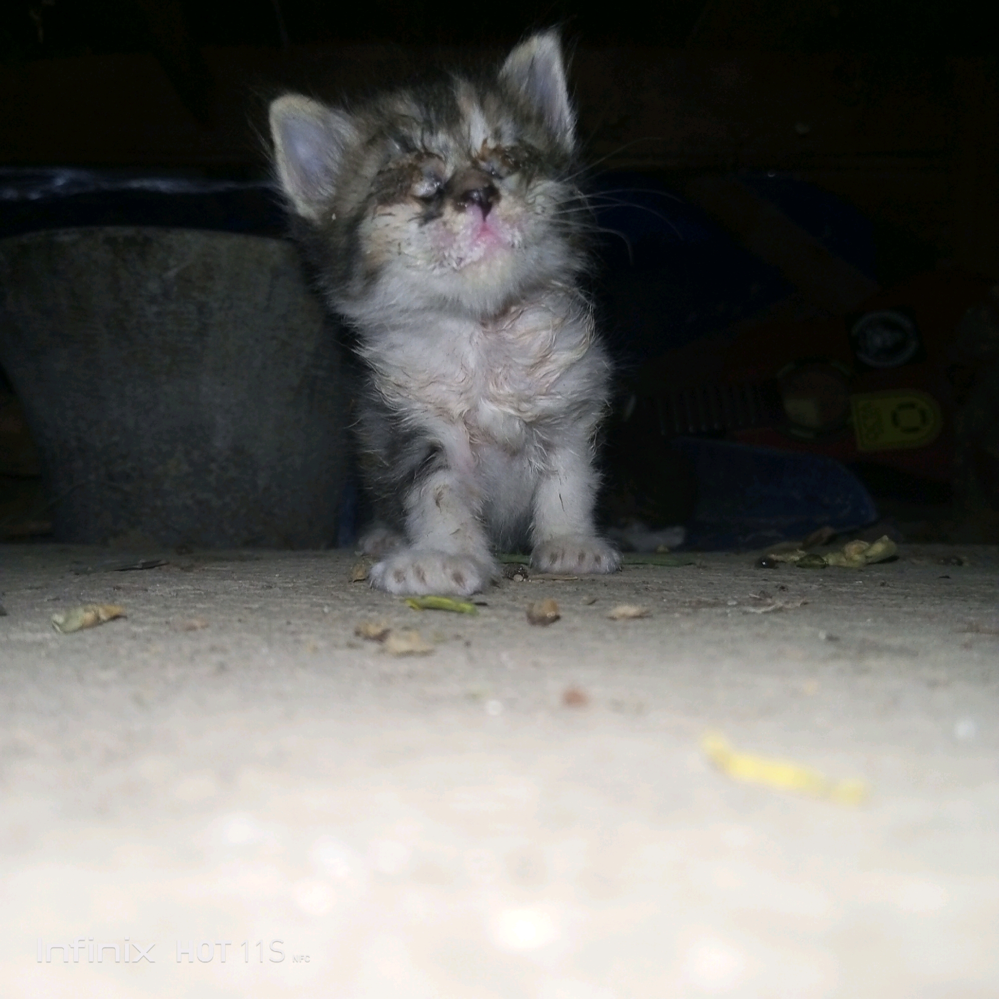 A very young kitten with matted fur and crusty eyes sits on a rough, concrete surface. The kitten appears distressed and its eyes are partially closed. The background is dark and out of focus, but suggests an indoor or sheltered outdoor environment with some objects visible, possibly a large grey bin or container to the left and some blue material further back. Scattered debris, including small leaves and twigs, is present on the concrete ground around the kitten. The overall impression is one of neglect or a difficult living situation. There is no indication of the specific location in Sukaslamet, Indonesia, within the image itself.