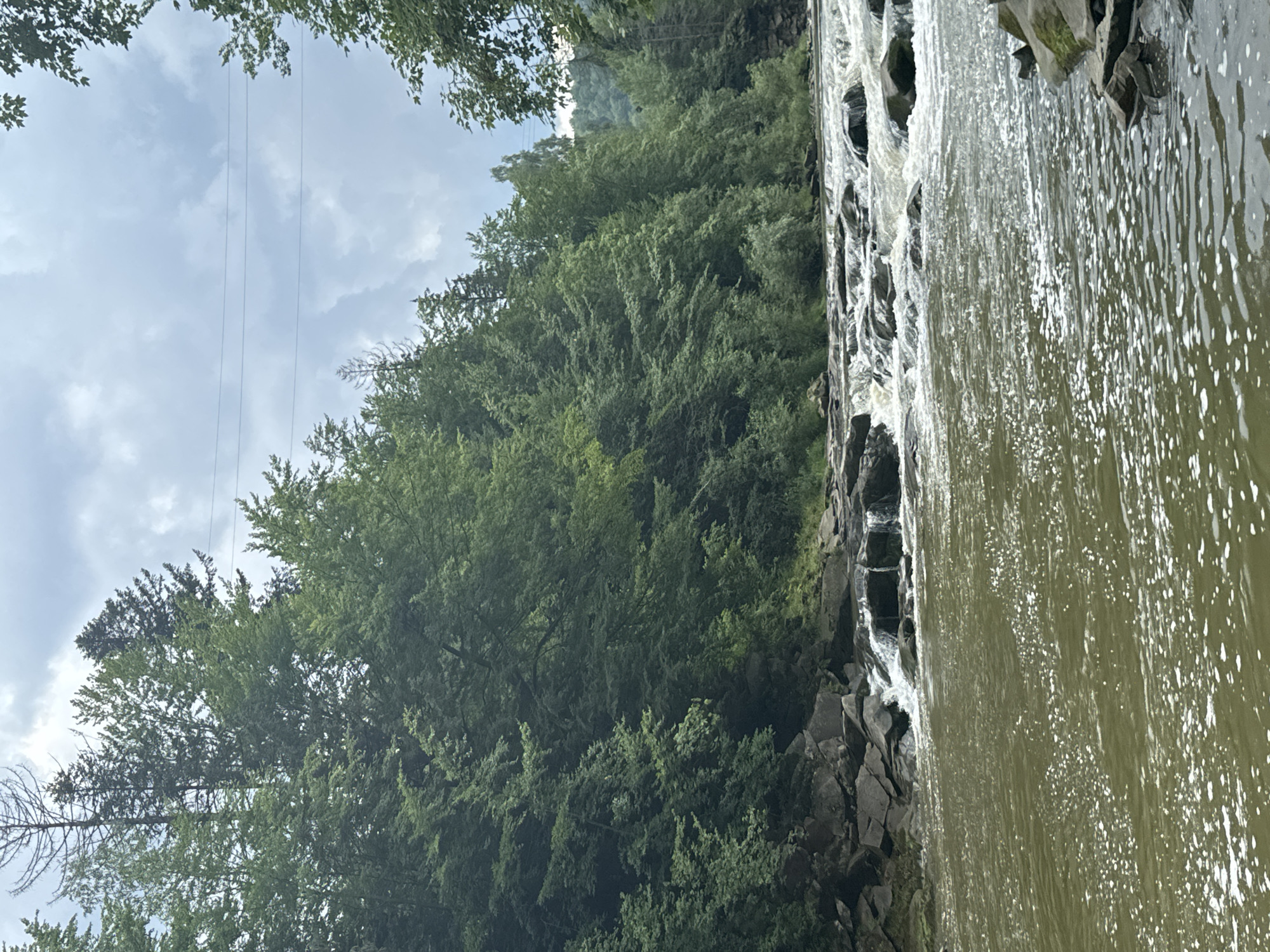 A wide, fast-flowing river with a rocky bed, leading to a series of small rapids, is shown in the foreground. The water is a murky green color, with white foam and bubbles on the surface. The riverbanks are lined with large, grey rocks. Behind the river, a dense forest of green trees covers the hillside. The trees are a mix of deciduous and coniferous species. The sky above is overcast with grey clouds. The scene appears to be located in a natural, undeveloped area, likely in the Carpathian Mountains region of Ukraine, given the reference to Yaremche, Ukraine, which is known for its scenic rivers and forests. There are no people or man-made structures visible in the image.