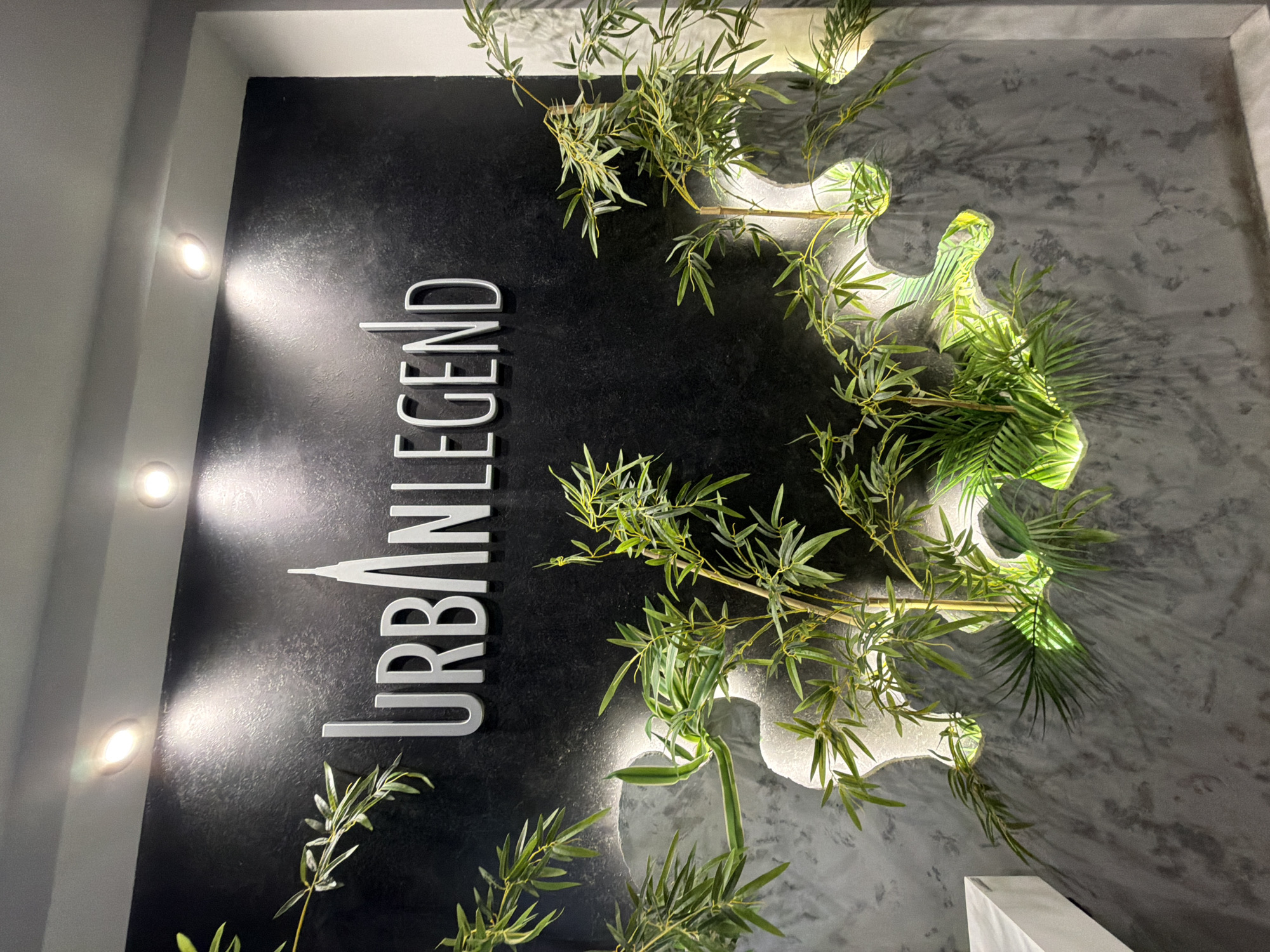 The image displays a modern and elegantly designed interior wall installation. The focal point is the silver, three-dimensional text "URBAN LEGEND" mounted on a dark, textured wall, likely black or a very dark grey. The letter 'A' in 'URBAN' features a distinctive upward-pointing spire, evoking the imagery of a skyscraper or urban architecture.
To the left of the text, three bright, circular recessed spotlights are visible, casting illuminated cones onto the metallic sign and the dark wall, emphasizing its texture and reflective qualities.
The right side of the wall transitions to a lighter, concrete-like or grey textured surface. This section is adorned with an artful arrangement of artificial greenery, primarily resembling bamboo and some palm-like leaves. Interspersed within this foliage are irregular, organic-shaped cut-outs or sculptural elements integrated into the wall, which are brightly backlit. This backlighting creates a radiant glow behind the plants and casts intricate, dramatic shadows of the leaves onto the grey wall, adding depth and a dynamic interplay of light and shadow.
No people or specific activities are visible in the scene, which appears to be a static decorative display. The overall aesthetic is sophisticated and contemporary, blending an urban theme with natural elements through modern design, contrasting textures, and dramatic artificial lighting. This indoor setting is located in Sofia, Bulgaria.