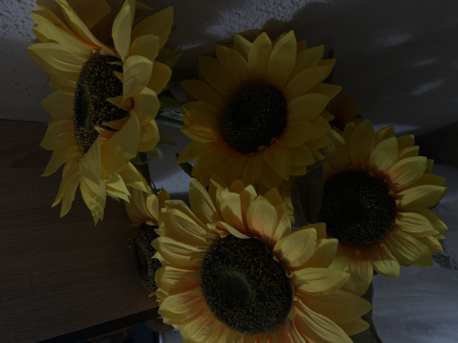The image displays a close-up of a cluster of at least five artificial sunflowers in an indoor setting in Sedlartsi, Bulgaria. Each sunflower features bright yellow, fabric petals radiating from a dark, textured central disc. The sunflowers are arranged densely, with some overlapping. A dark wooden surface is visible on the upper left portion of the frame, while a light-colored, possibly textured wall forms the background on the right. The scene is dimly lit, casting soft shadows of the flowers onto the wall. No individuals, specific actions, or interactions are depicted.