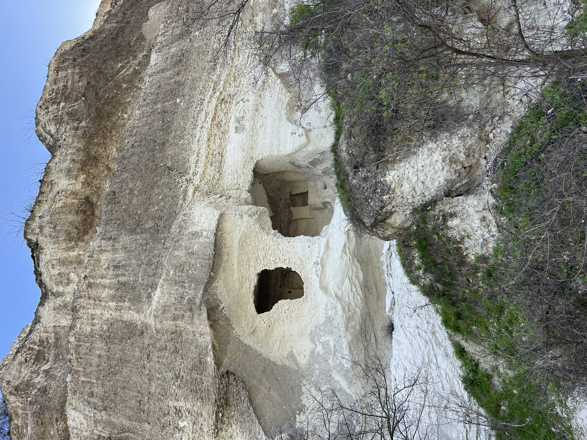 A vertically oriented outdoor shot captures a chalky cliff face, likely near Nikopol, Bulgaria, given the region's geology. The cliff features a multi-tiered cave system. The left side of the image shows a rough, gray section of the cliff, in contrast to the smoother, white chalky sections. Green vegetation is sparsely present, clinging to the edge of the cliff on the right side. Two prominent cave openings are visible, with a smaller, squarish opening above the lower, larger one. Within the top opening, a hint of what appears to be a room-like structure can be seen. Bare branches of small trees are scattered in the foreground. The top left corner reveals a patch of pale blue sky.