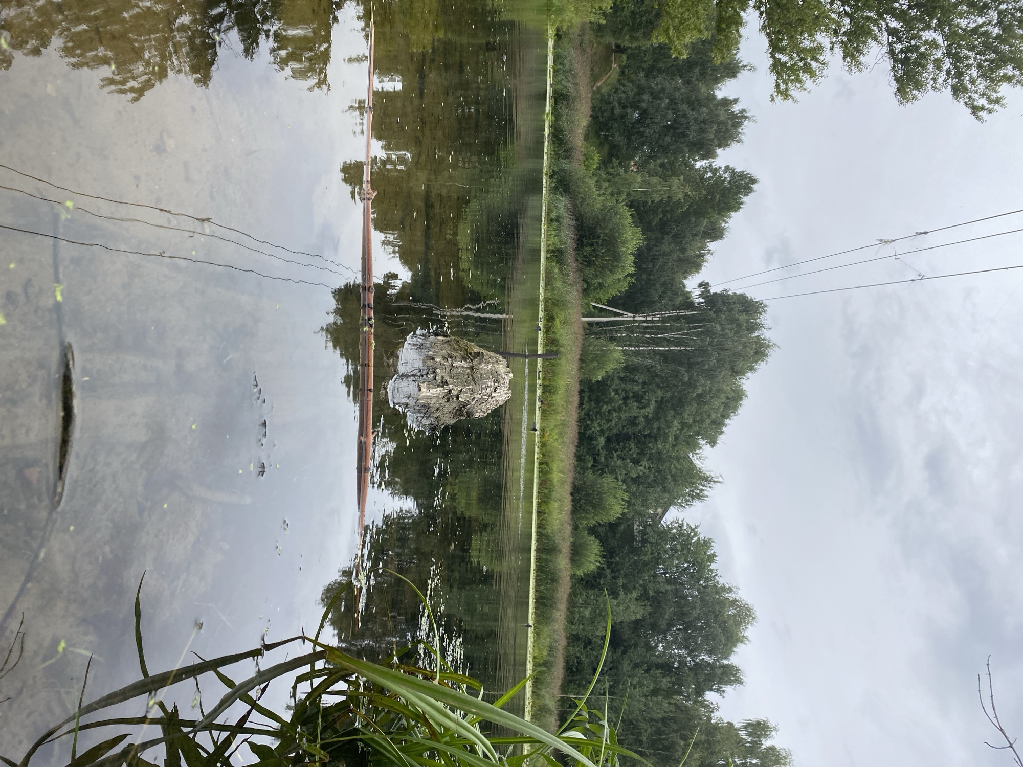 The image shows a body of water, likely a lake or river, with a dense forest line in the background. The sky is overcast. In the foreground, part of the shore with tall grass is visible on the right. A few dark objects, possibly birds, are present on the water in the middle ground. There is a structure in the water, appearing to be a collection of debris or vegetation piled on a base, with a dark pole protruding from it. Overhead, power lines stretch across the frame, supported by poles on the distant shore. The water reflects the trees and the sky. The scene is located in Соболиха, Russia.
