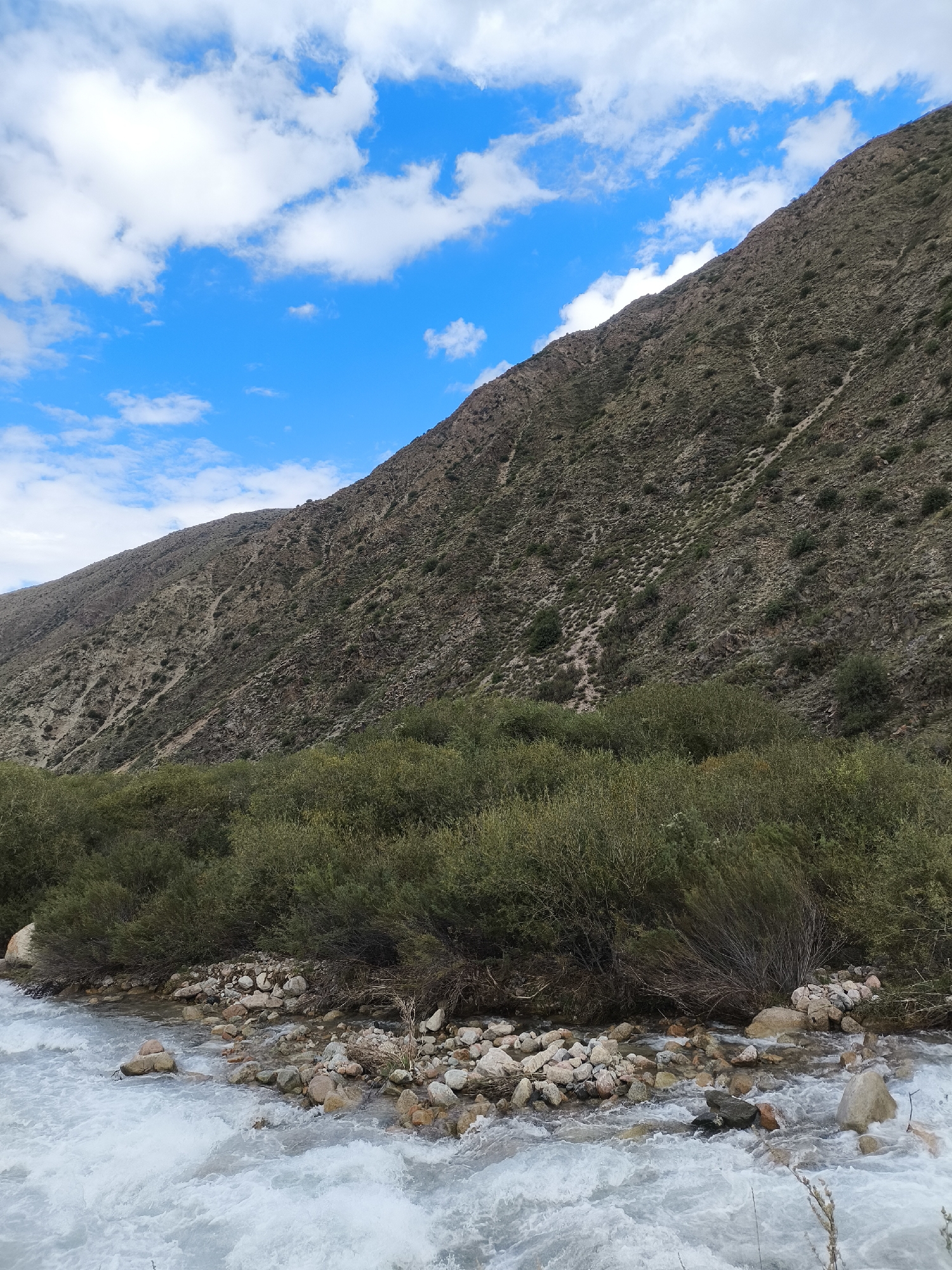 The image depicts a natural landscape with a mountain slope on the right, covered in sparse vegetation and rocks. A clear blue sky with scattered white clouds occupies the upper left portion of the frame. In the foreground, a body of water, likely a river, flows from left to right, with white rapids and a rocky shore. Dense green bushes and trees line the bank of the river, separating it from the mountain. The scene appears to be a remote natural setting, possibly in or around the city of Bolshevik, Kyrgyzstan, given the context provided. No people or animals are visible in the image, and no specific actions or interactions are taking place. The environment is characterized by its rugged terrain, watercourse, and vegetation under a bright sky.