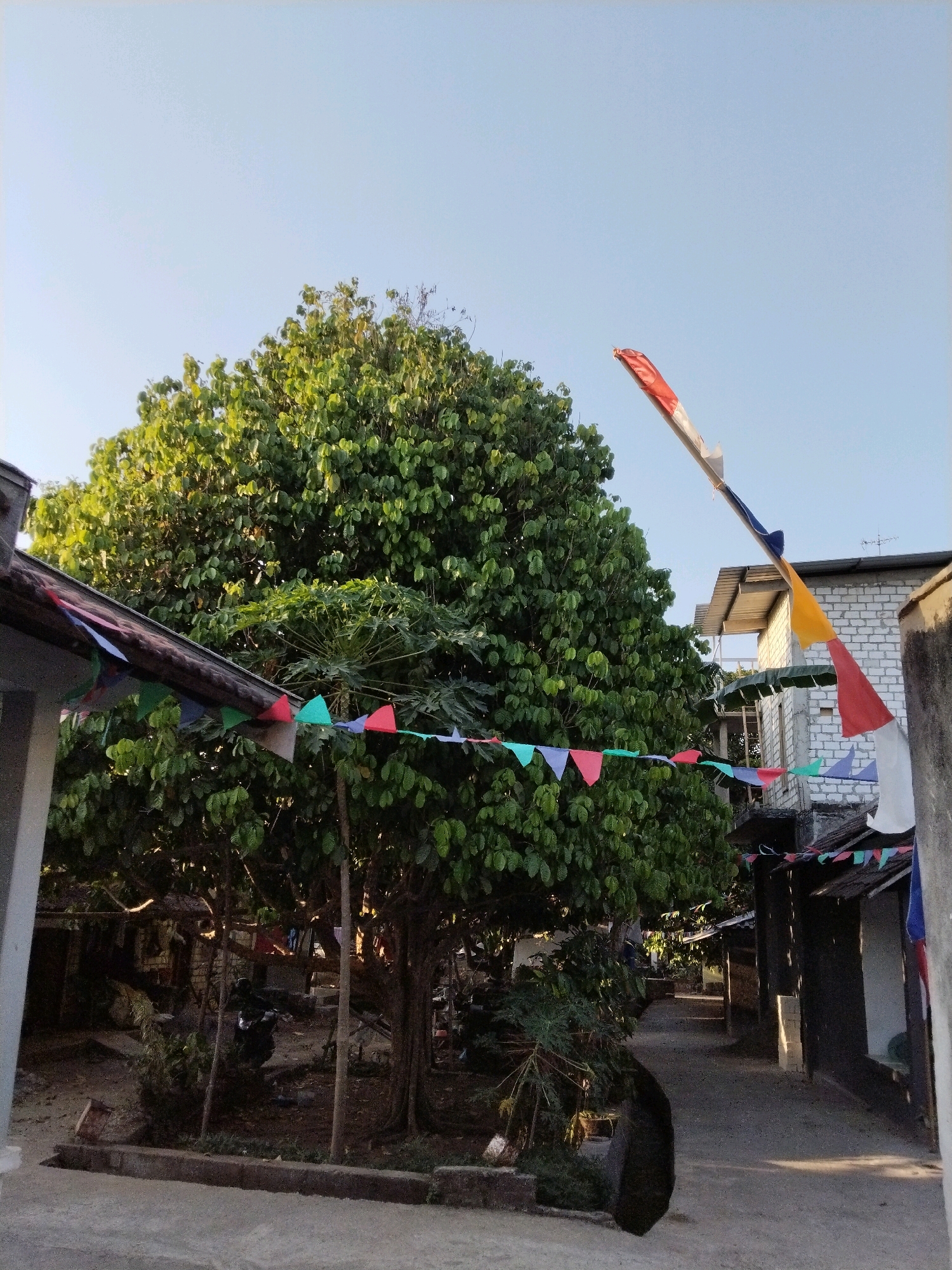 The image depicts a narrow pathway between buildings in a residential area, possibly in Semanding, Indonesia. The scene is characterized by dense foliage from a large, mature tree that dominates the left side of the frame. Colorful triangular flags are strung across the pathway, some attached to the eaves of buildings and others suspended in the air. The buildings appear to be constructed of brick and have corrugated or tiled roofs. Sunlight casts shadows, suggesting it is late afternoon or early morning. Evidence of human habitation is present, including what appears to be a parked motorcycle partially obscured by vegetation and laundry hanging in the background. The pathway itself is paved or compacted earth. The overall impression is of a lived-in, somewhat cluttered, but vibrant community space.