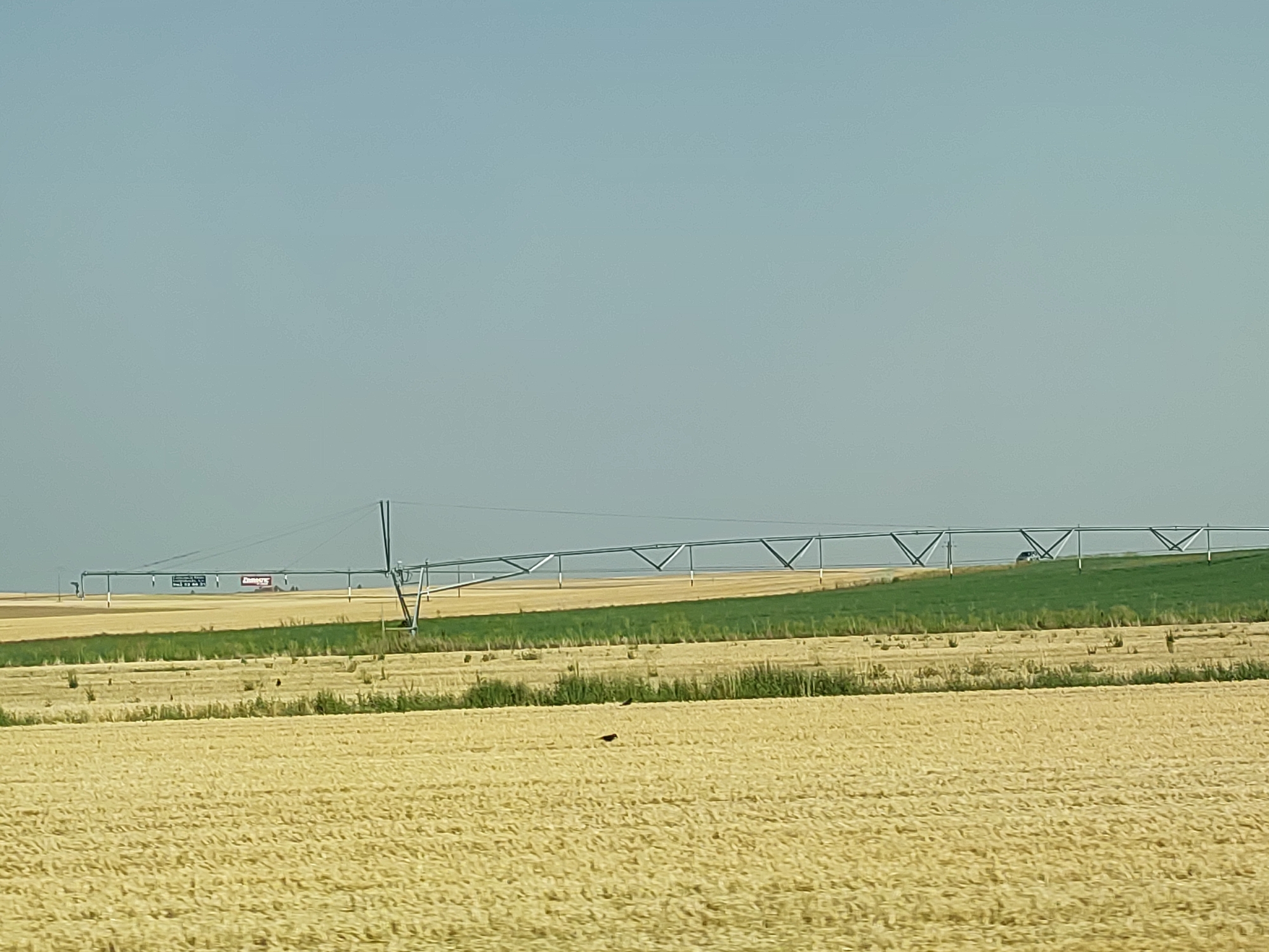 The image depicts a wide-angle view of agricultural fields under a clear, pale blue sky. In the foreground, a field of golden, dry crops, possibly wheat or barley, stretches across the frame. A small, dark bird is visible in this field, positioned slightly to the left of center.
In the mid-ground, there is a transition to a strip of greener vegetation, followed by another field of dry, golden crops. Running across the mid-ground and extending into the background is a large, metallic irrigation system, characterized by its elevated, angular structure supported by vertical poles. A red vehicle with a sign is visible beneath the irrigation system in the far distance, as is a small white vehicle.
The background is dominated by the expansive sky, with the horizon line where the sky meets the landscape being relatively low in the frame. The overall impression is one of a rural, agricultural landscape, likely in a sunny and dry climate. The location is specified as Autillo de Campos, Spain.