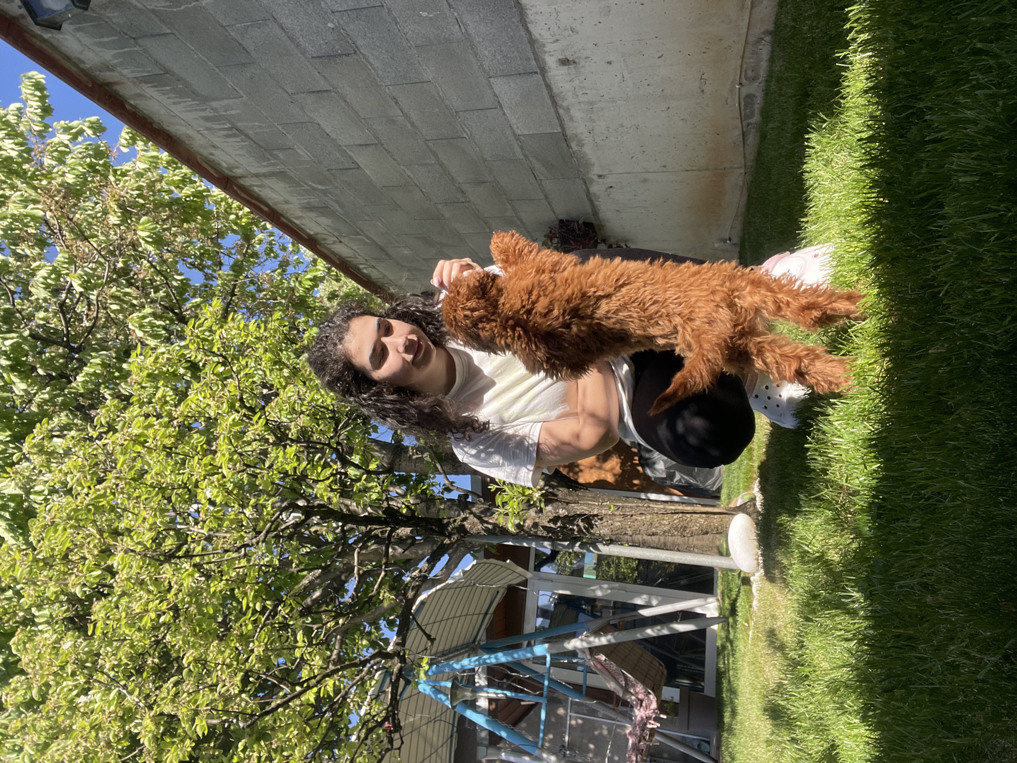 A young woman is squatting in a yard with grass and trees, holding a fluffy, red-brown dog in the air. The yard is bordered by a gray, concrete wall on one side. A blue metal structure, possibly a swing set, is visible in the background, along with a glimpse of a house. The location is Sofia, Bulgaria.