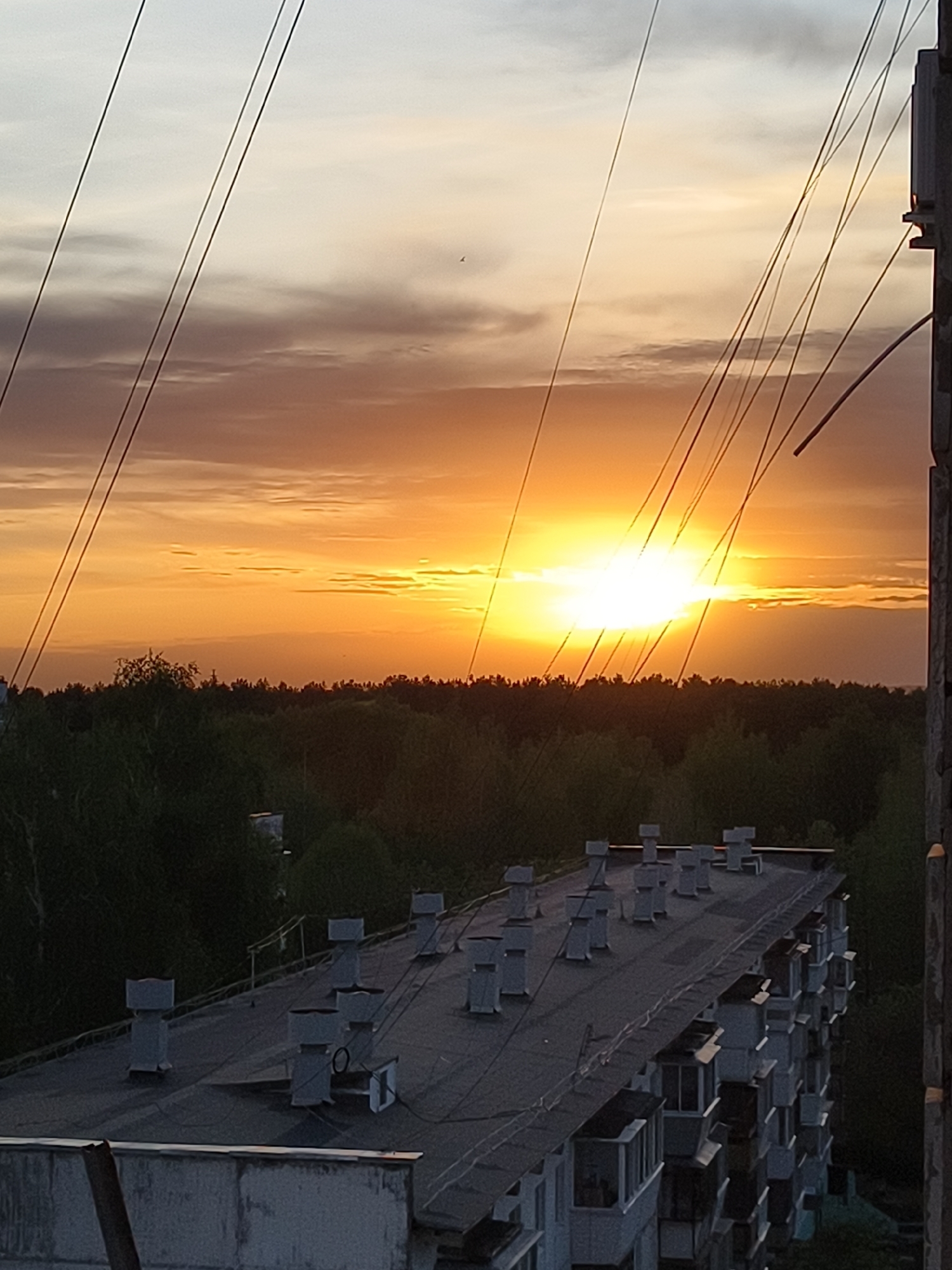 The image presents an urban landscape at sunset. A multi-story building with numerous ventilation shafts on its roof dominates the foreground. The roof is dark and flat, while the building's facade shows rows of windows and balconies. The background is filled with a dense forest line, silhouetted against the bright orange and yellow of the setting sun. Overhead power lines stretch across the sky, adding a network of diagonals to the scene. The sky exhibits variations in color, transitioning from a bright, radiant glow around the sun to lighter shades of gray and yellow near the top of the frame. A dark vertical structure is present on the right edge of the image, possibly a building component or post, partially obscuring the view. The location is characterized as an urban setting adjacent to a forested area. The location is in a city of Unknown, Unknown.