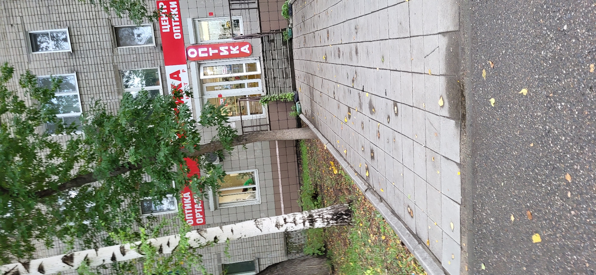 The image shows a street-level view of the entrance to an "OPTICS" store, located in the city of Oskemen, Kazakhstan. The store has a red awning with Cyrillic lettering that reads "ЦЕНТР ОПТИКИ" (Center of Optics). A vertical red sign also reads "ОПТИКА" (Optics). The entrance features glass doors and windows, with displays of eyewear visible inside. The store is situated on the ground floor of a multi-story brick building. A sidewalk made of square concrete pavers leads to the entrance, and the ground is wet with scattered yellow leaves. There is a tree with a white and black patterned trunk to the left of the entrance, and another tree with green foliage in front of the building. The overall scene suggests an overcast or damp day. No people are visible in the frame.