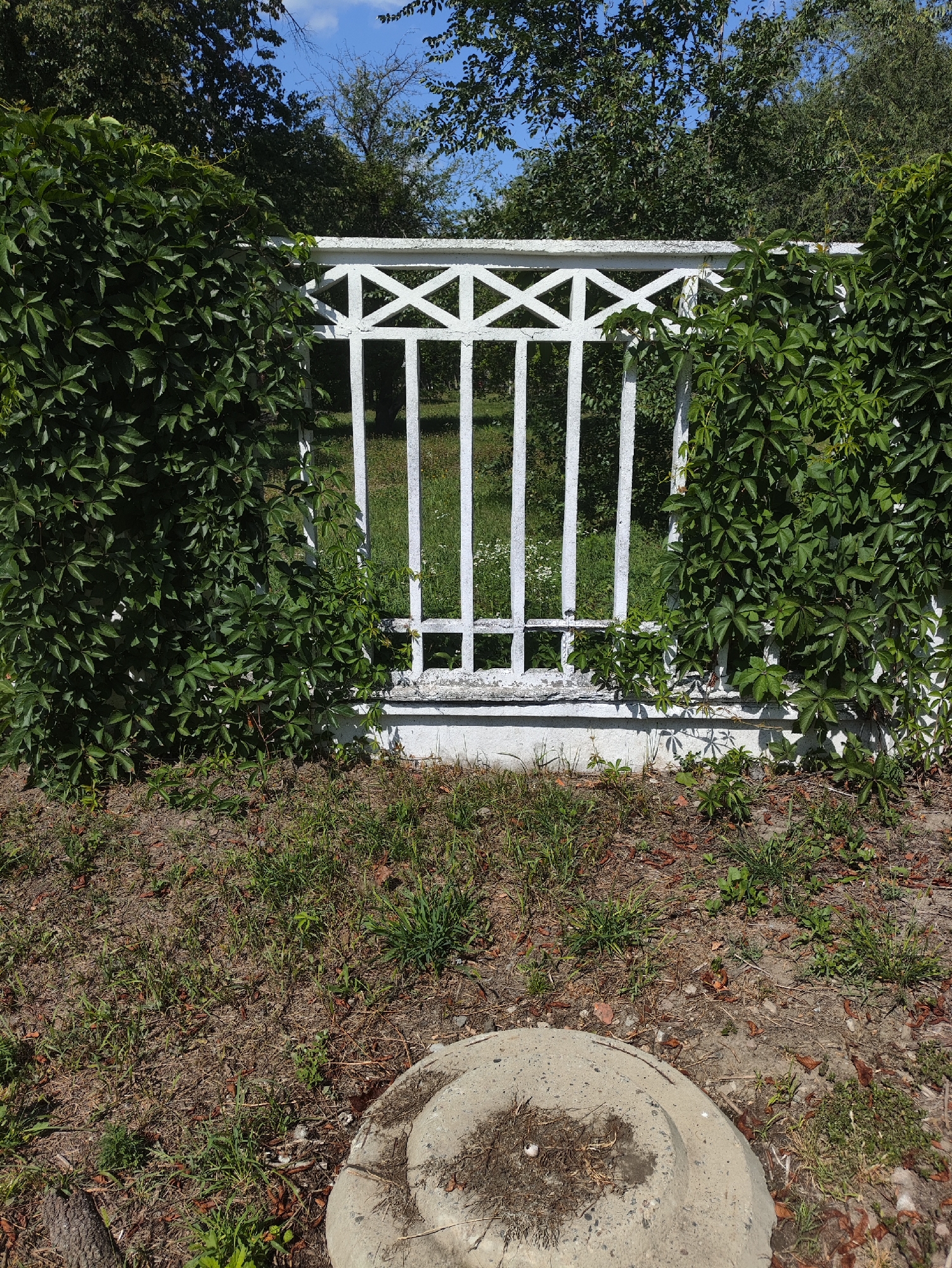 The image depicts a white wrought-iron fence overgrown with green ivy. The fence has vertical bars and a decorative lattice pattern at the top. In the foreground, there is dry grass and soil, with a concrete circular object, possibly a manhole cover, in the bottom right corner. In the background, trees and a bright blue sky with scattered clouds are visible. The scene appears to be outdoors in a park or garden setting. The location is not specified in the image, and thus no information can be provided about it being in Kharkiv, Ukraine.