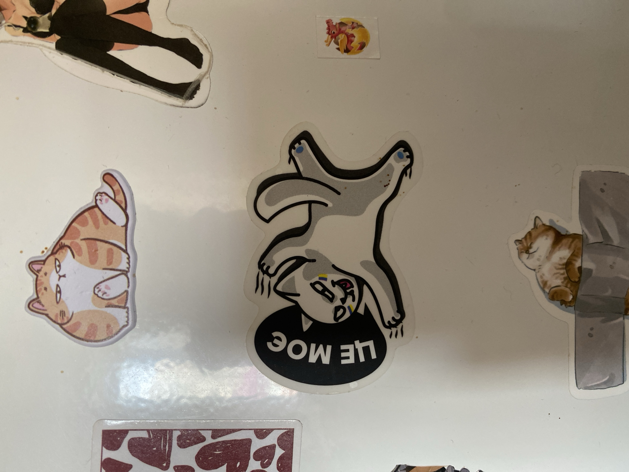 The image shows a white surface covered with stickers. The stickers depict:
* A figure with black hair and clothes.
* A sticker with a red dragon on a yellow background.
* An orange and white tabby cat lying on its back.
* An upside-down sticker of a grey and black cat with the text "LIE MOE" in a black speech bubble.
* An orange tabby cat peeking out from behind a grey structure.
* A partial sticker with maroon heart shapes.
There is no information in the image to identify the location in the city of Ternopil, Ukraine.