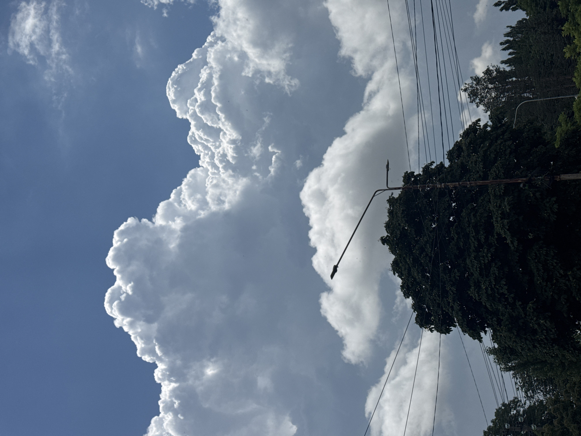 A low-angle shot captures a dramatic sky filled with large, fluffy cumulus clouds, some illuminated by sunlight and others casting shadows. A dark green tree with dense foliage occupies the lower left portion of the frame, partially obscuring a rusty streetlamp. Multiple power lines stretch horizontally across the scene, intersecting with the tree and the sky. In the background, more trees are visible, some appearing as silhouettes against the cloudy sky. The scene suggests an outdoor urban environment, likely in Mikhaylovsk, Russia, with the looming clouds indicating potential for changing weather. No people are present in the image.