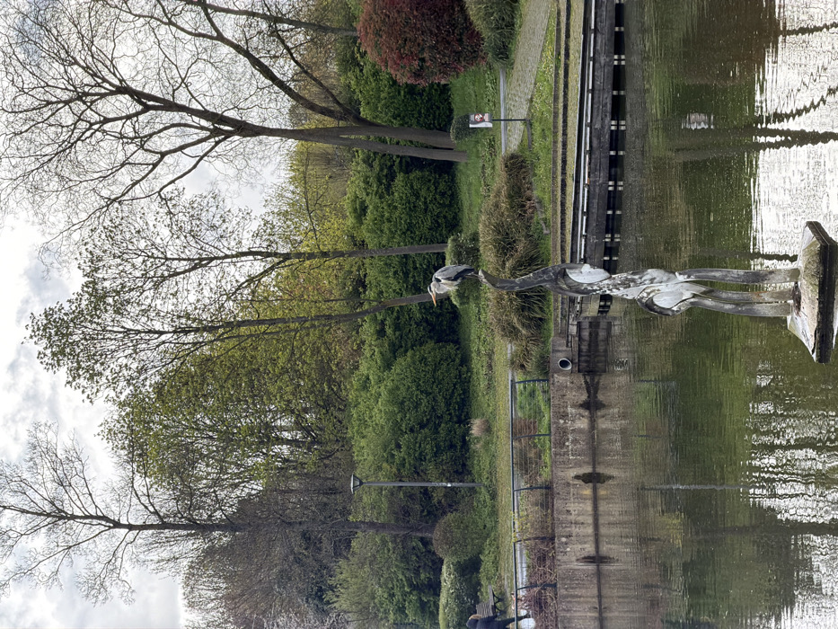 The image depicts a park scene in Lognes, France, centered on a grey heron perched atop a sculpture in a body of water. The heron, colored grey and white with an orange beak, stands on the uppermost point of a tall, abstract, light-colored sculpture emerging from the water. The sculpture features multiple vertical elements.
To the left of the water, a concrete retaining wall supports a metal barrier. Beyond the barrier, a paved path is visible, with a person in dark attire partially visible walking leftward on the path. A dark street lamp post stands near the path. The bank behind the path is covered in dense green shrubs and mature trees, some with emerging green leaves, others bare.
To the right of the water, a paved path runs along the bank, beside which is a wooden boardwalk or dock structure with multiple horizontal planks. Further back, the landscape is densely vegetated with green shrubs, bushes, and trees of varying heights, including some with reddish foliage. A small black signpost with a white image is visible near the path.
The background consists of numerous deciduous trees, some with green leaves indicative of spring, while others remain bare, set against an overcast sky. The water surface reflects the surrounding trees and sky.